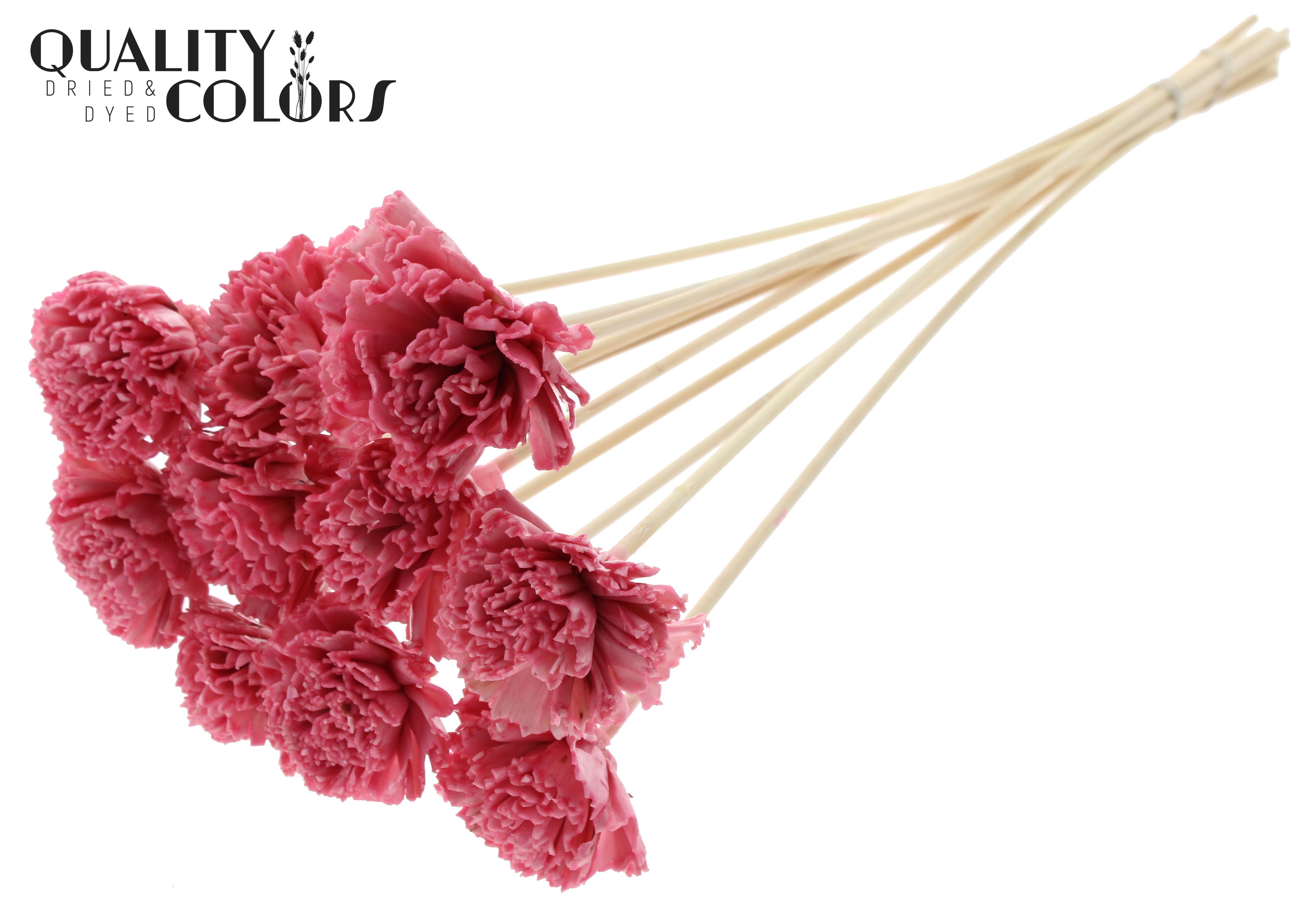 Shola Karnish Flower Wax Light Pink 50cm