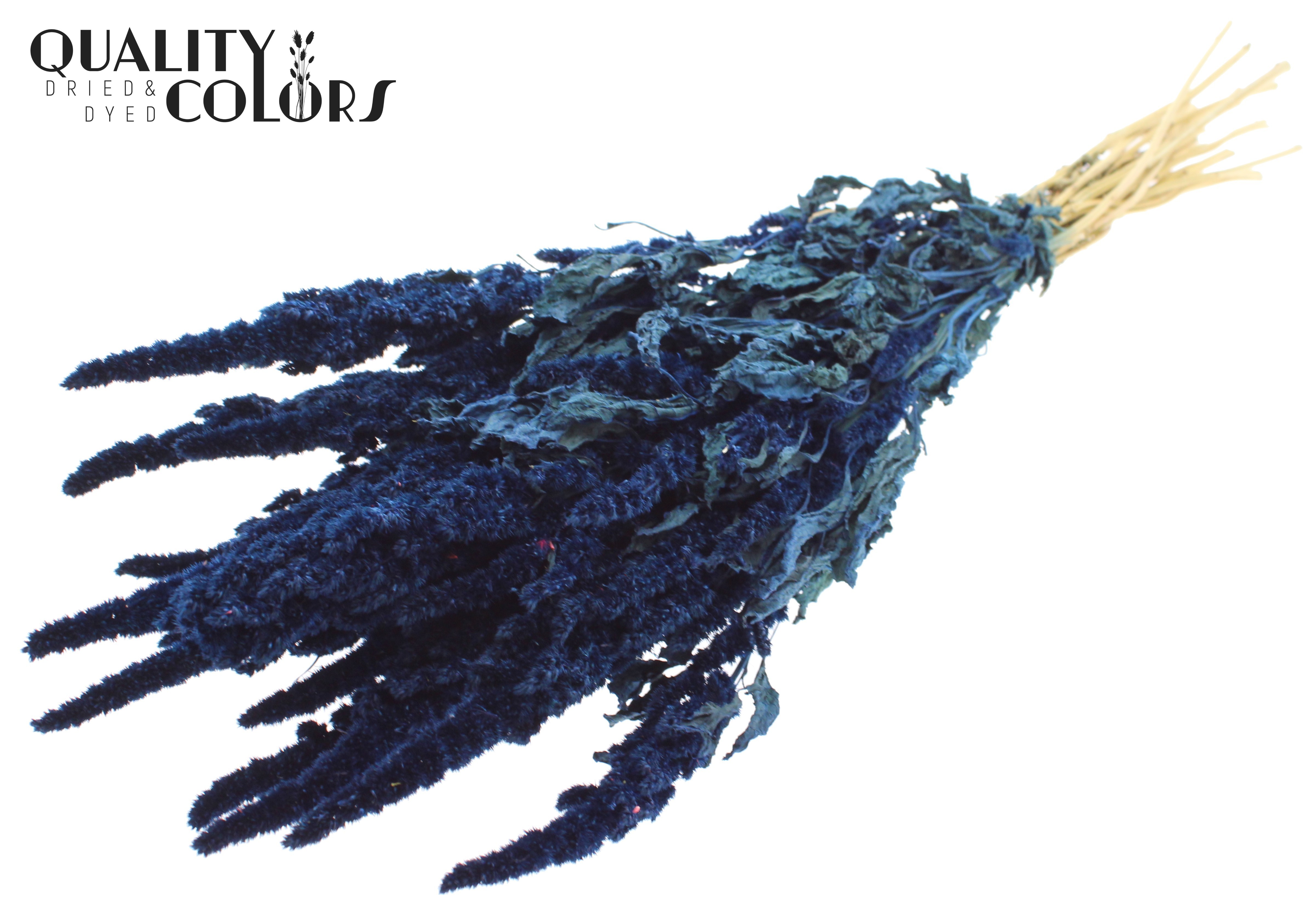 Amaranthus Blue Per Bunch 60cm