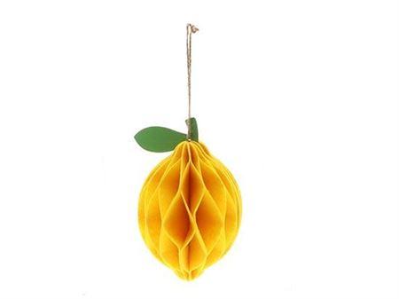 Hanger Lemon L12w12h20