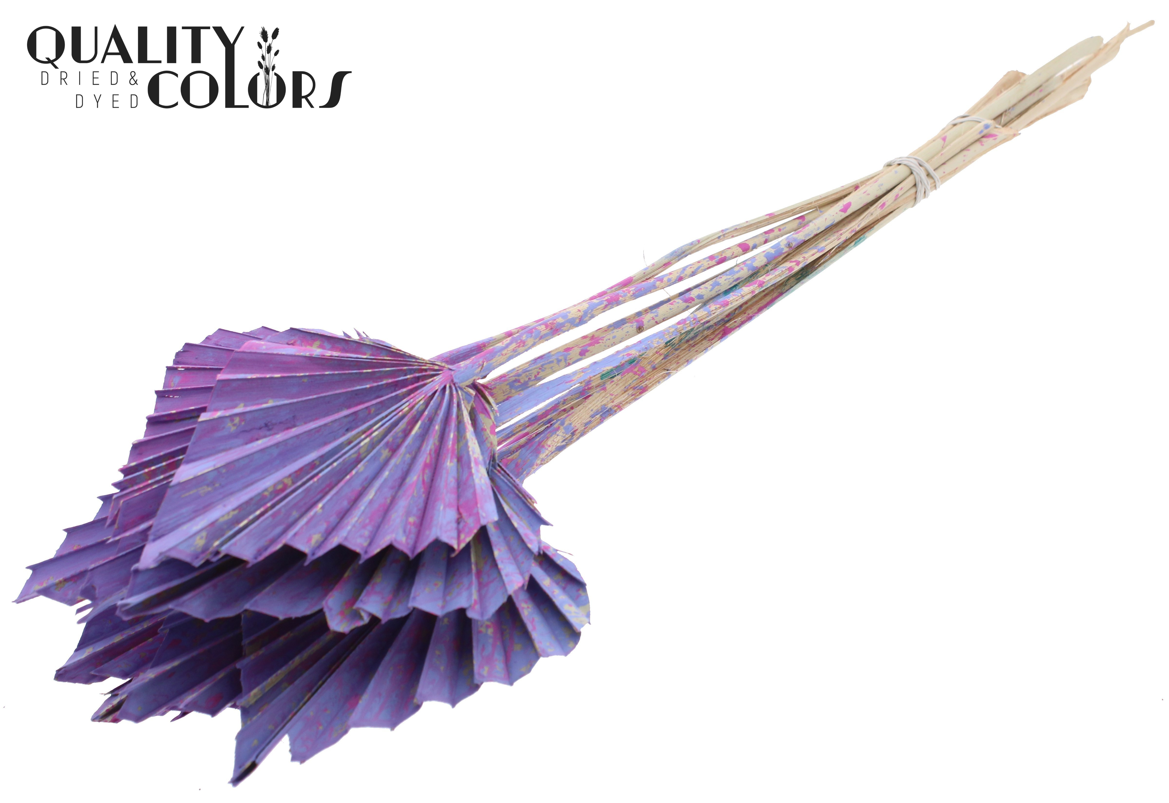Palm Spear Multicolour Milka 50cm
