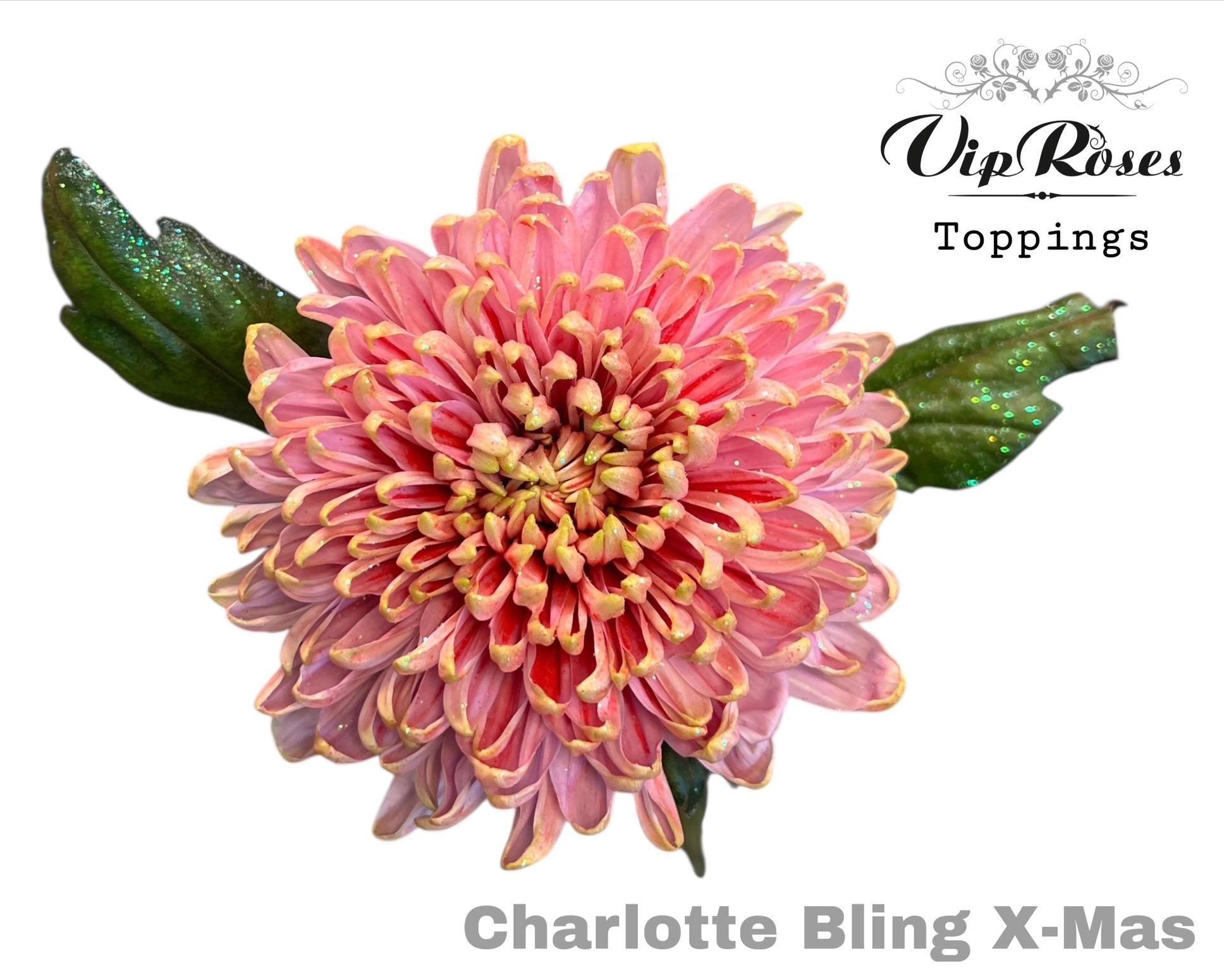 Chrys Single Painted 70cm 90gram