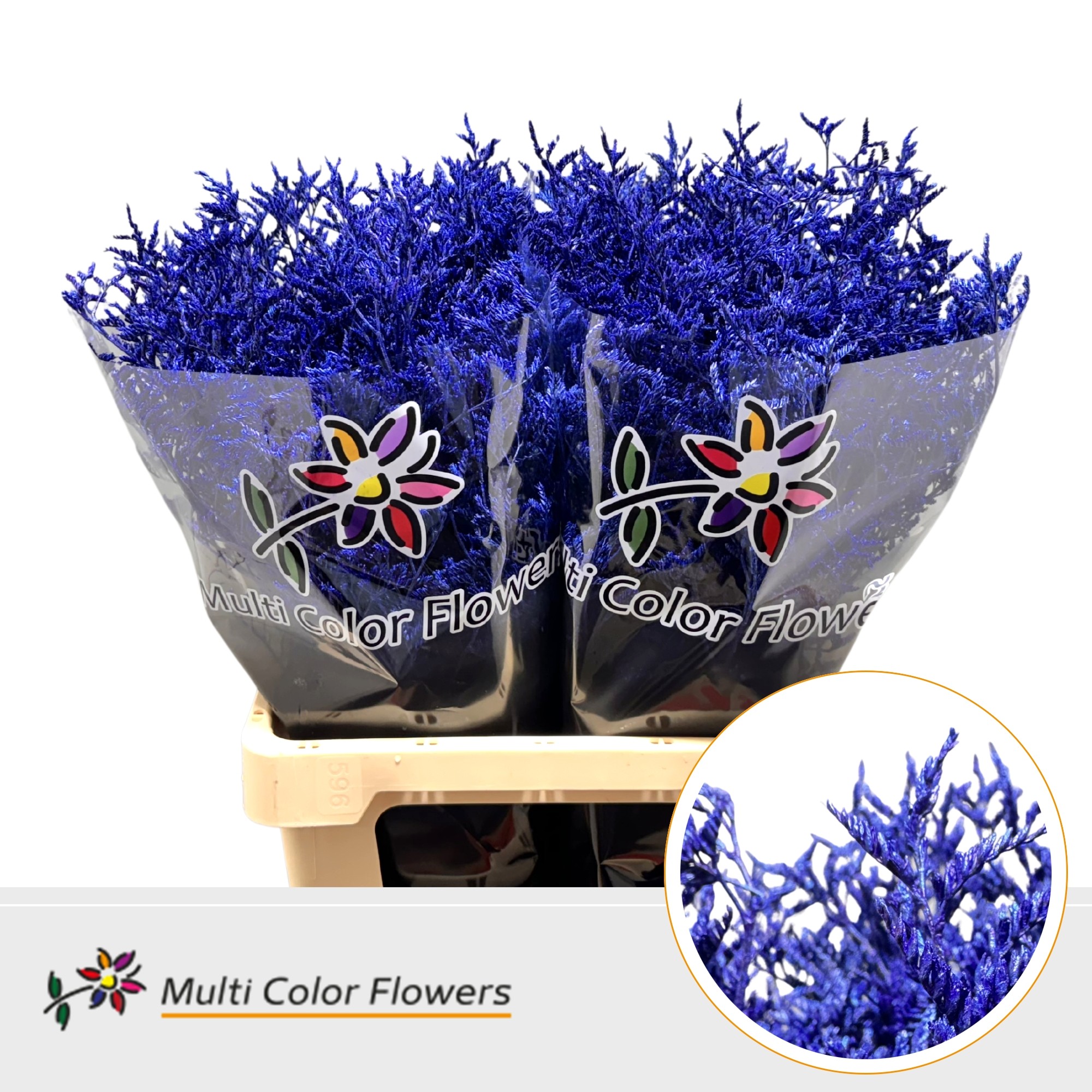 Limonium Metallic Blauw Donker