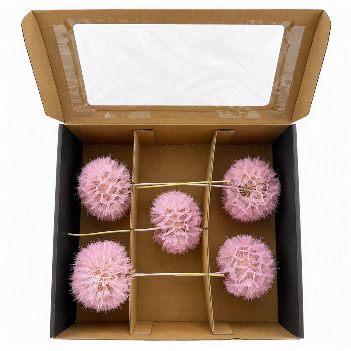 Pres Puste Flower Pink X5 Display Doos