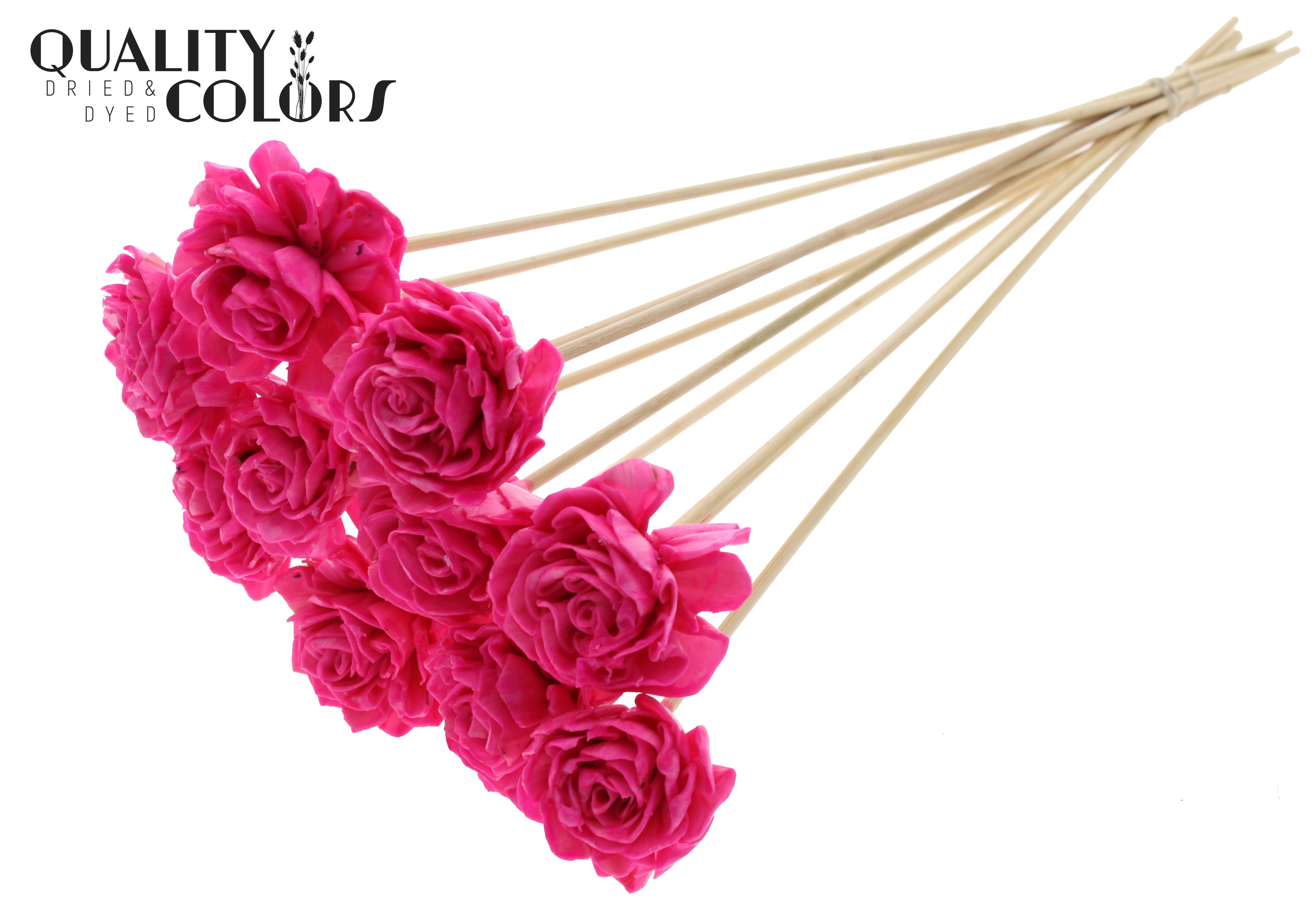 Shola Dhaliya Wax Cerise 50cm