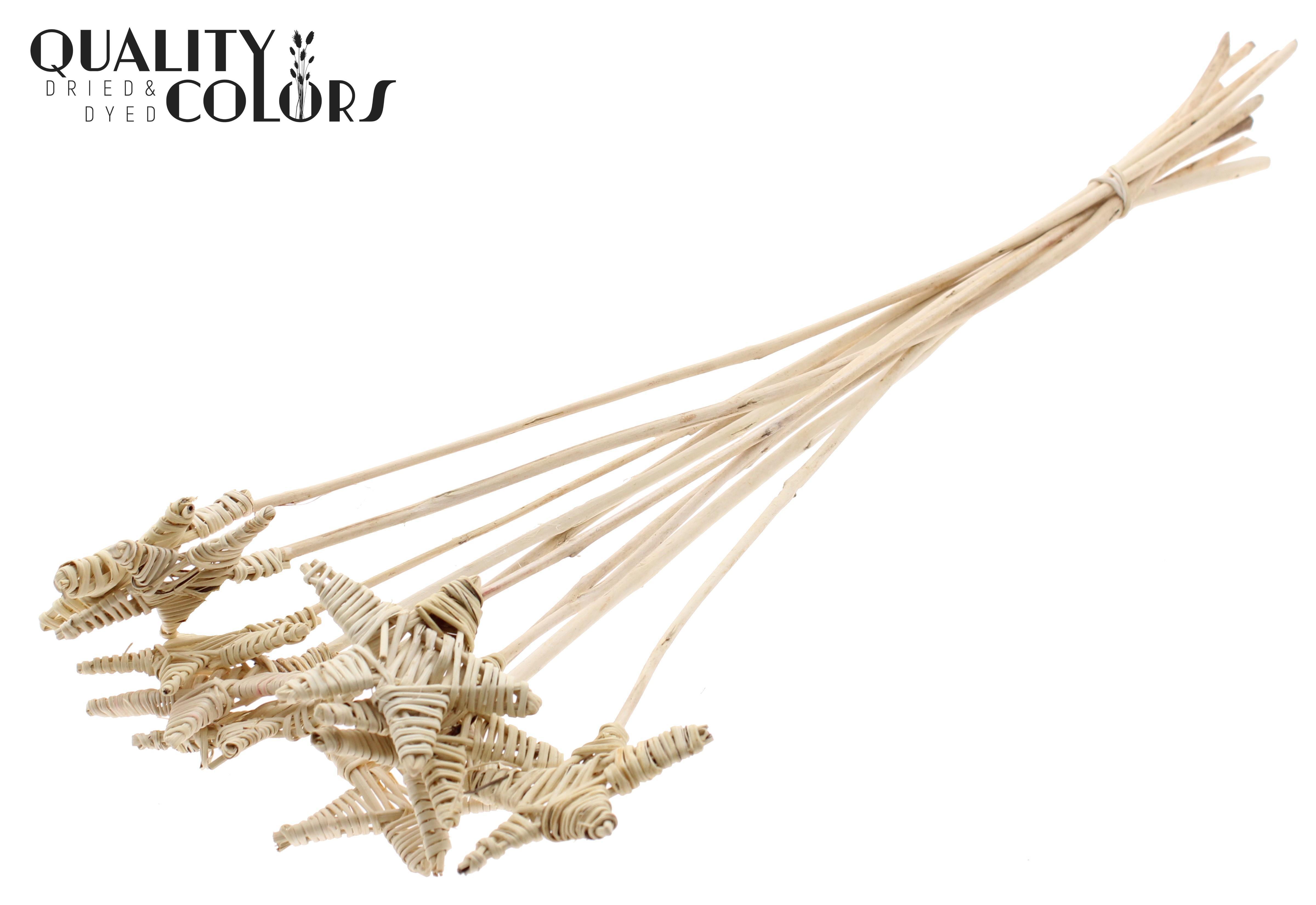 Lata Star Natural 50cm
