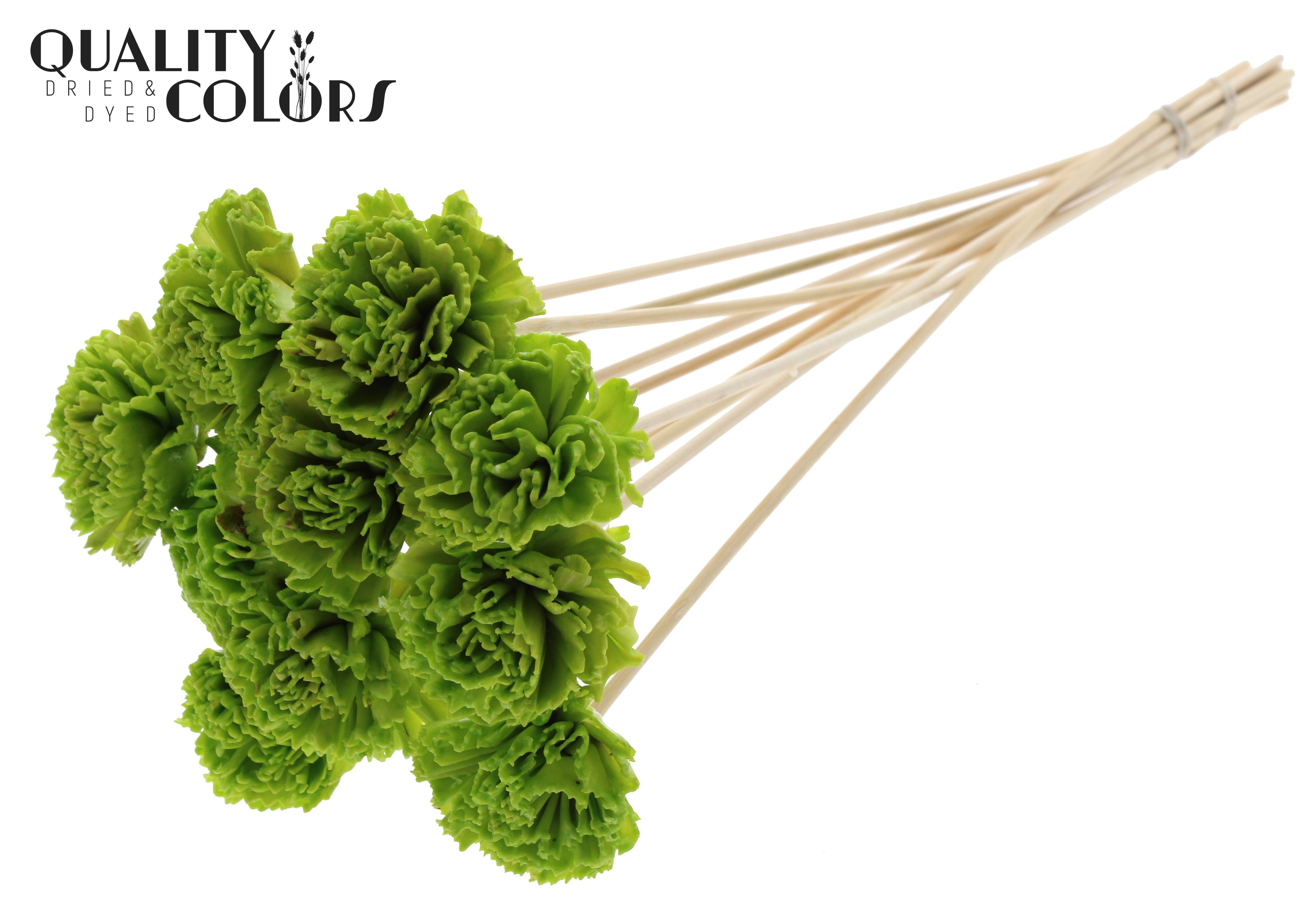 Shola Karnish Flower Wax Light Green 50cm