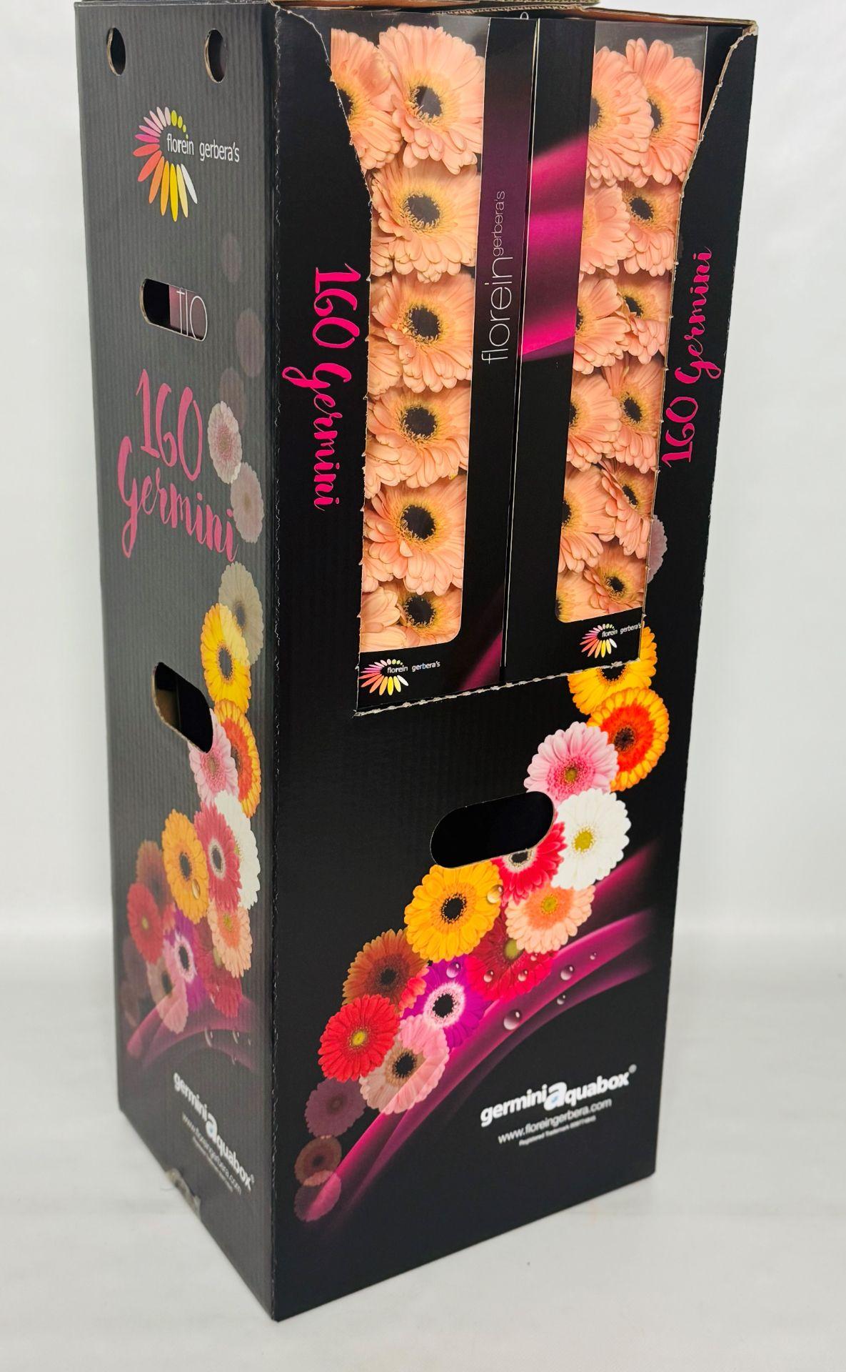 Ge Mi Espresso Aquabox *160