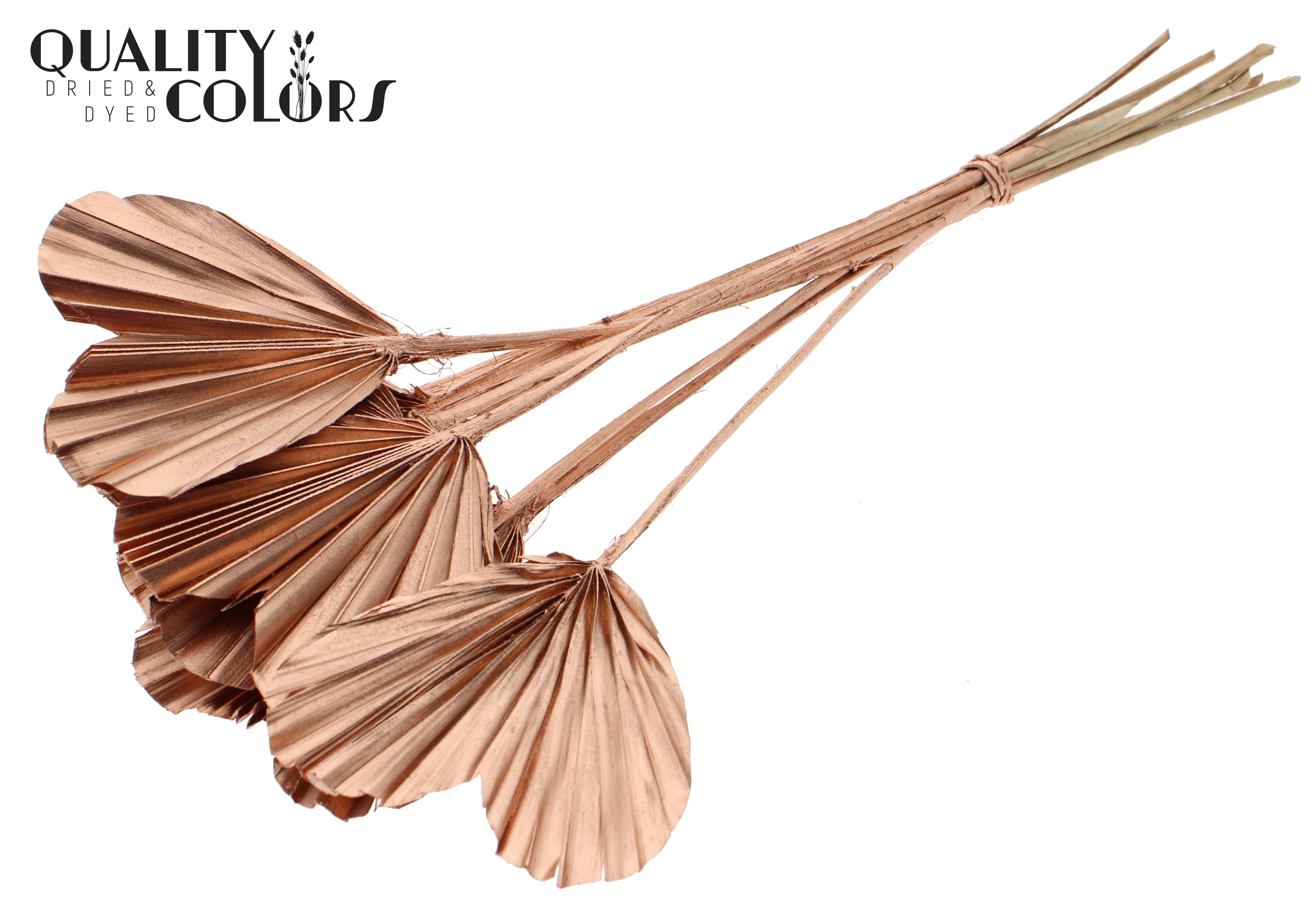 Palm Spear Heart Copper 45cm