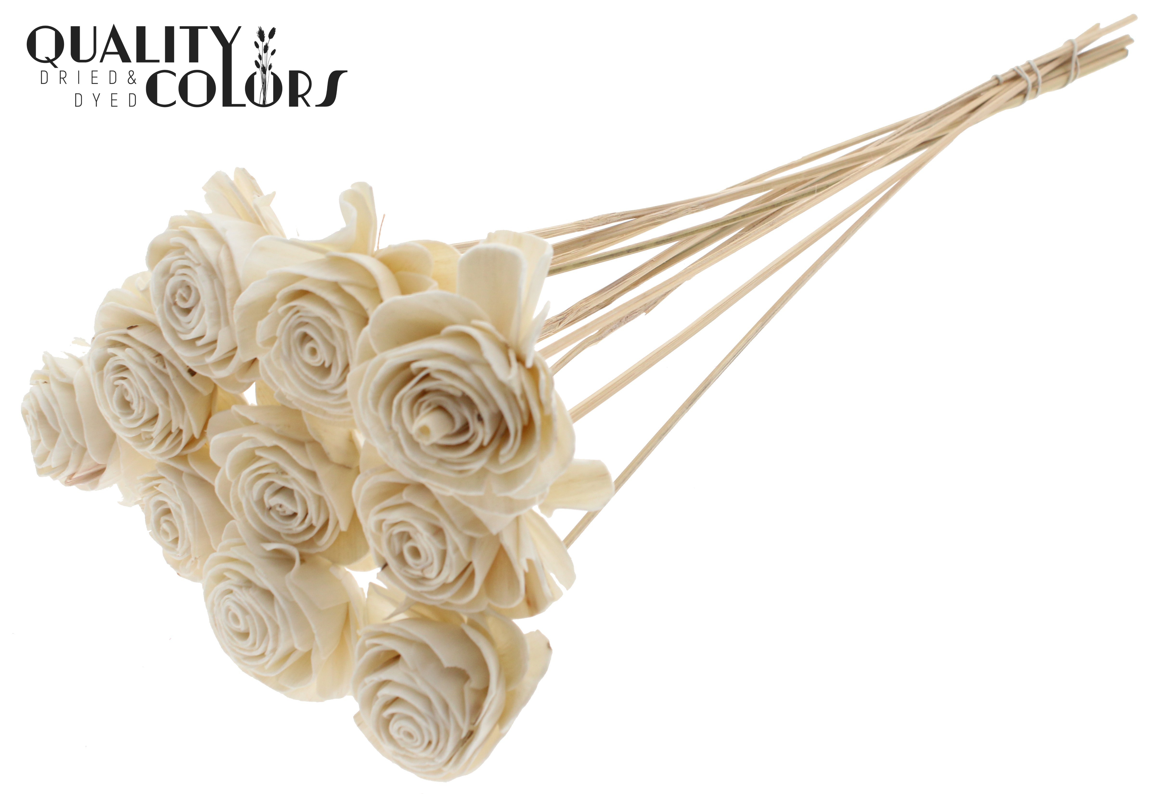 Shola Beauty Rose Natural 50cm