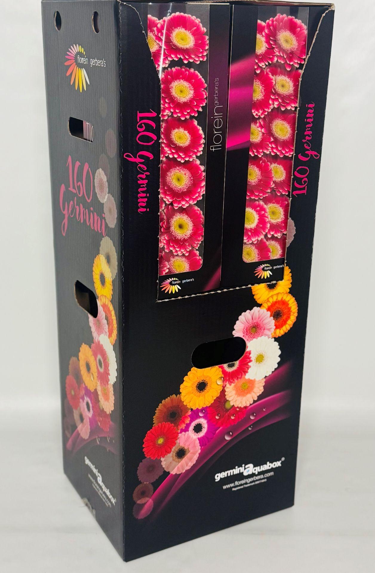 Ge Mi Wonderwall Aquabox *160