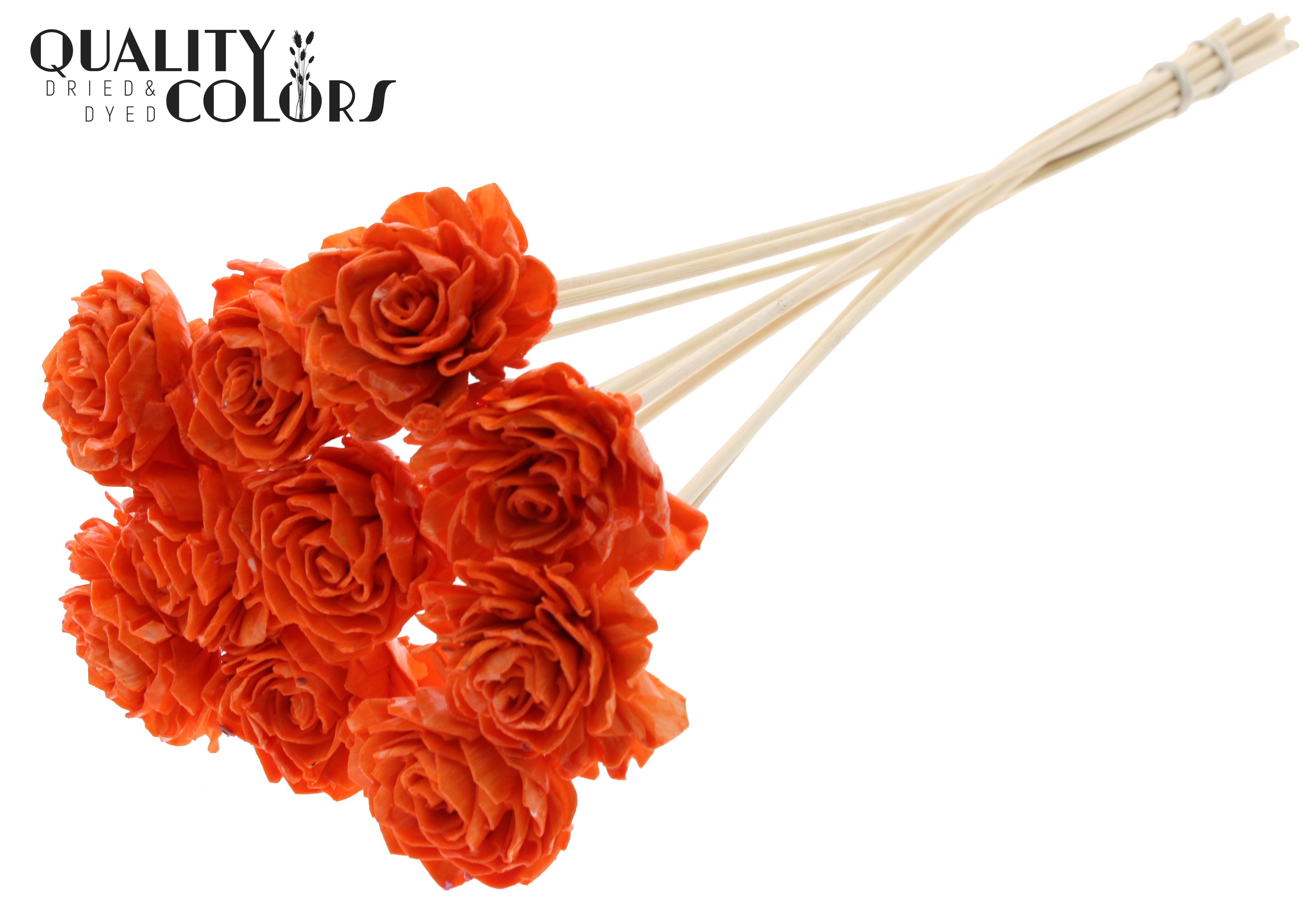 Shola Dhaliya Wax Orange 50cm