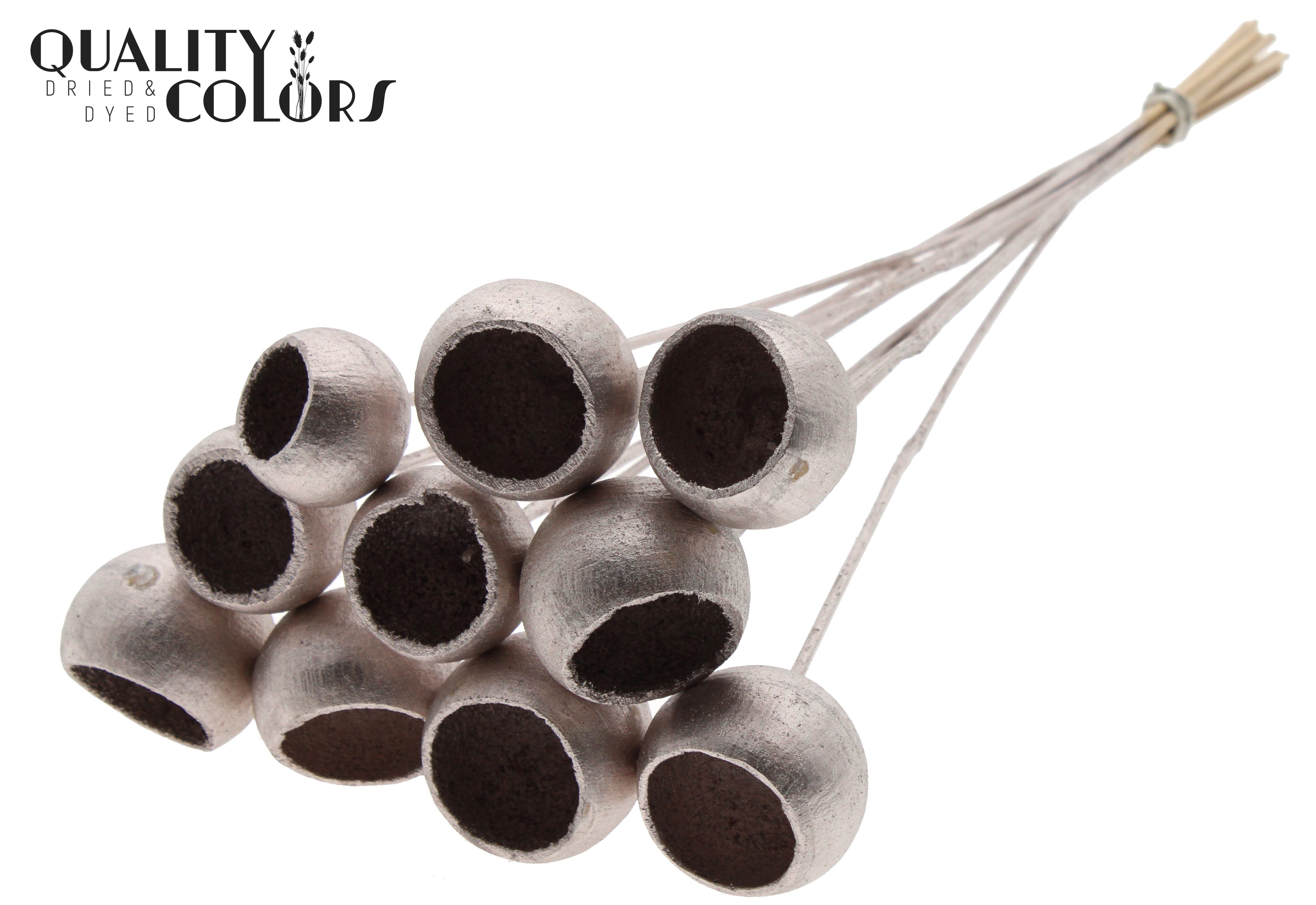 Bell Cup Champagne 50cm