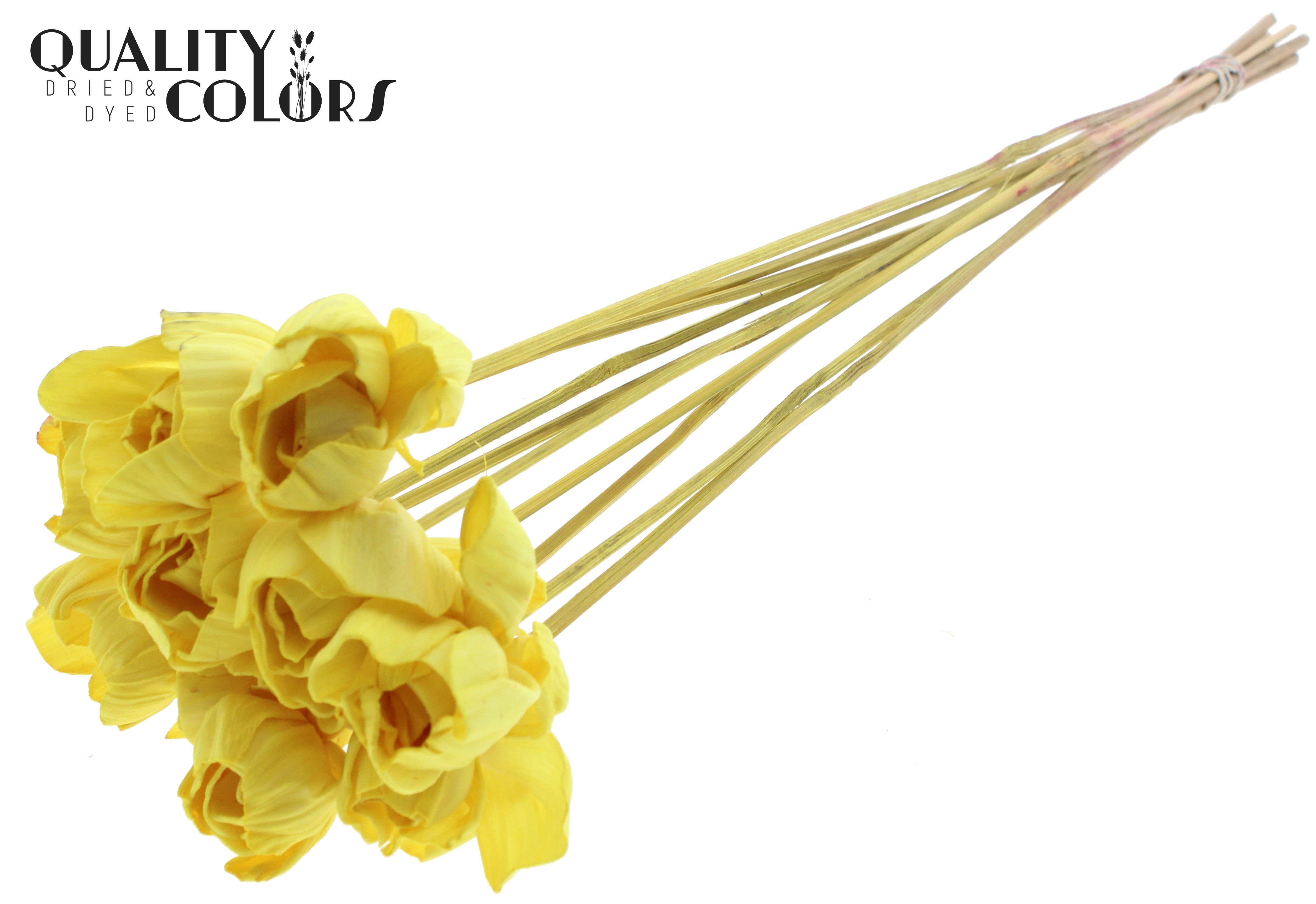 Shola Dear Holly Yellow 50cm