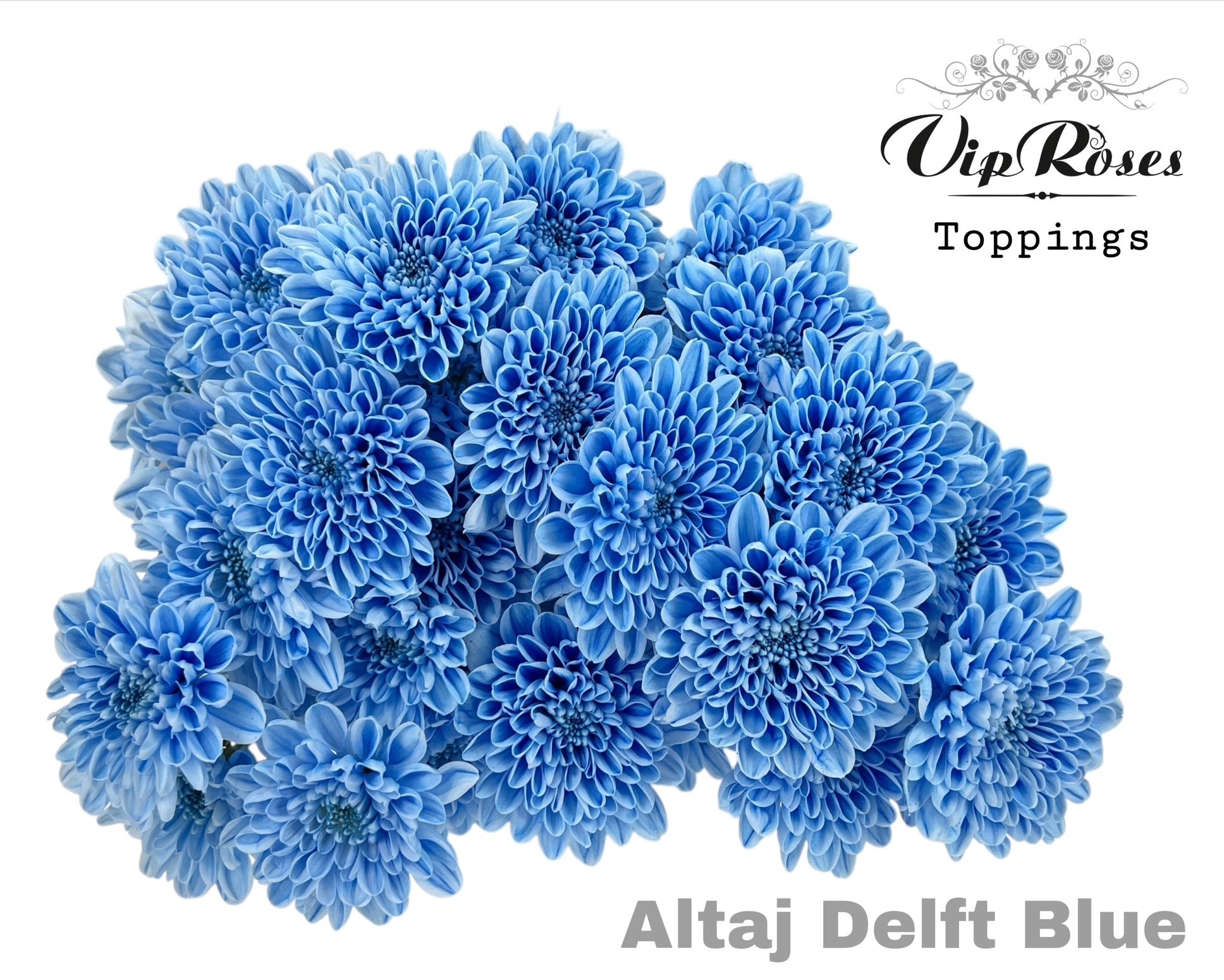 Chr T Altaj Delft Blue 70 cm