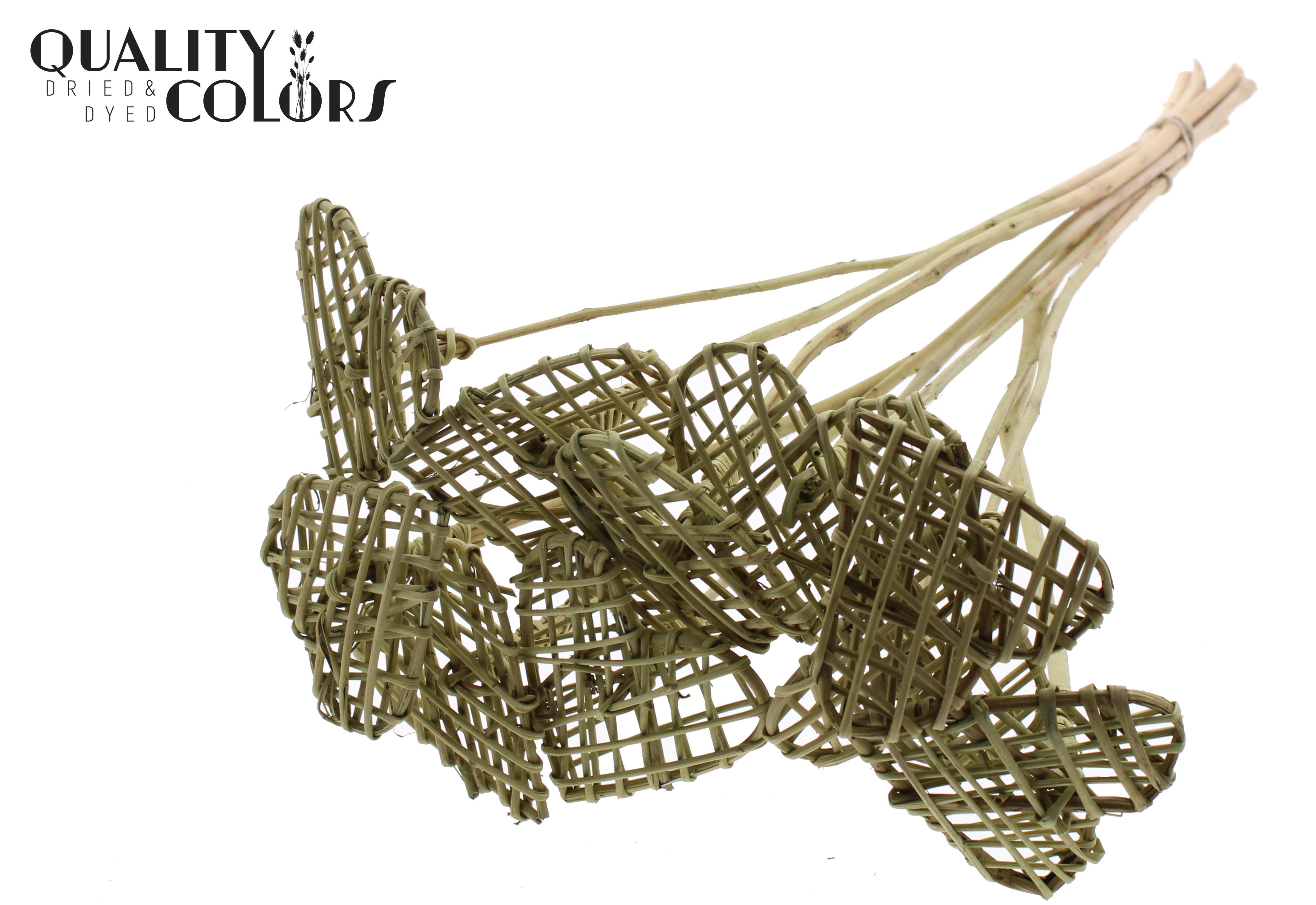 Lata Heart Olive 50cm