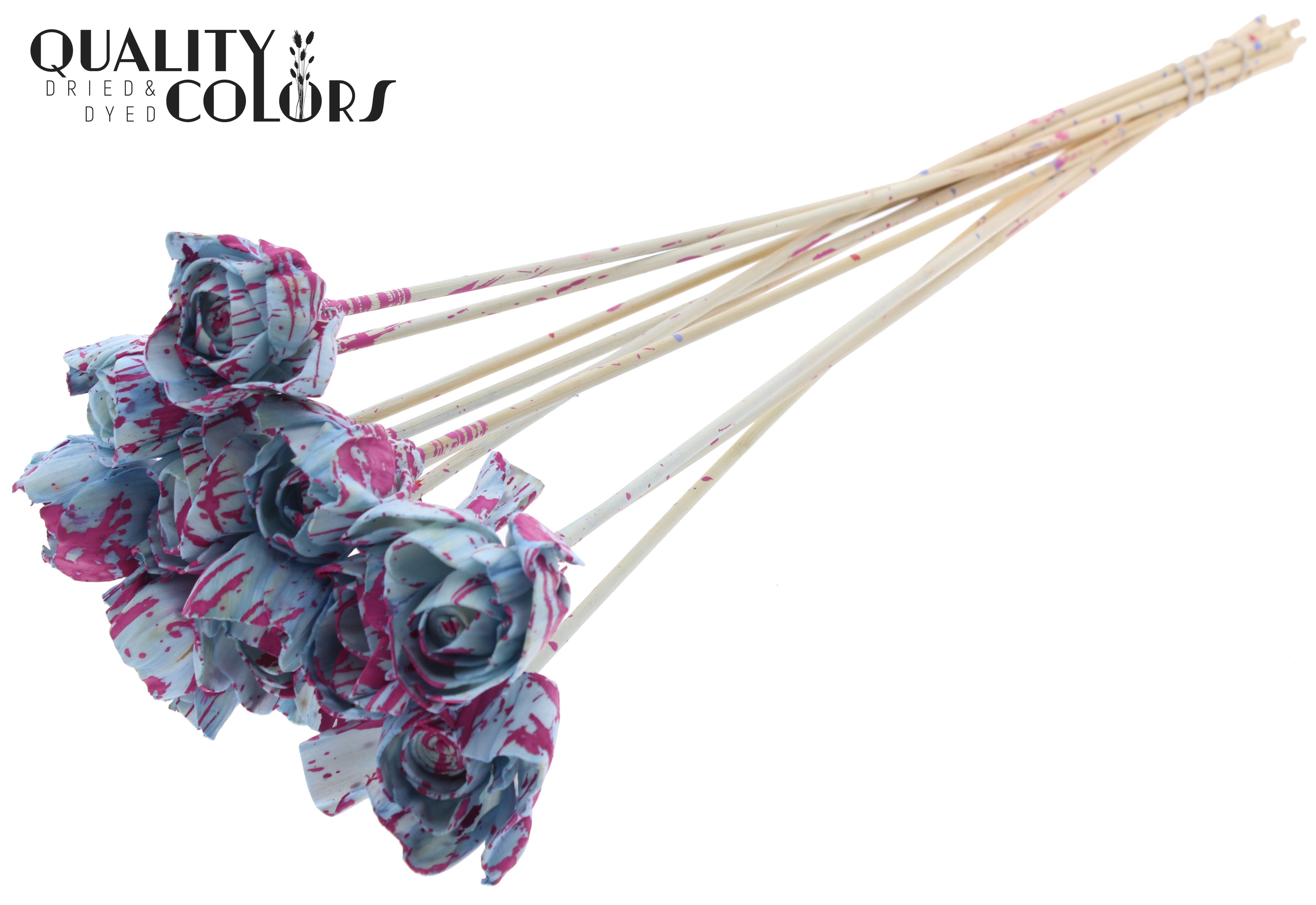 Shola Dear Holly Splashed Light Blue Cerise 50cm