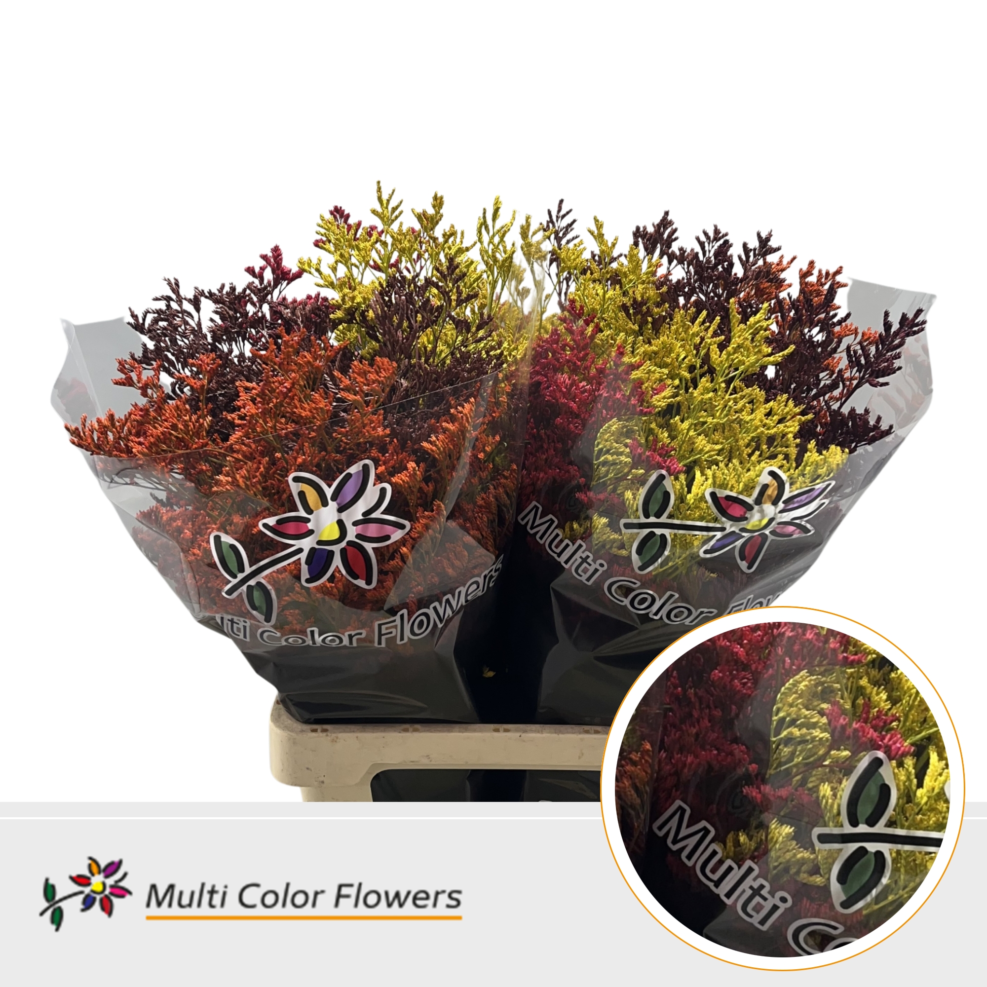 Limonium Herfst Mix
