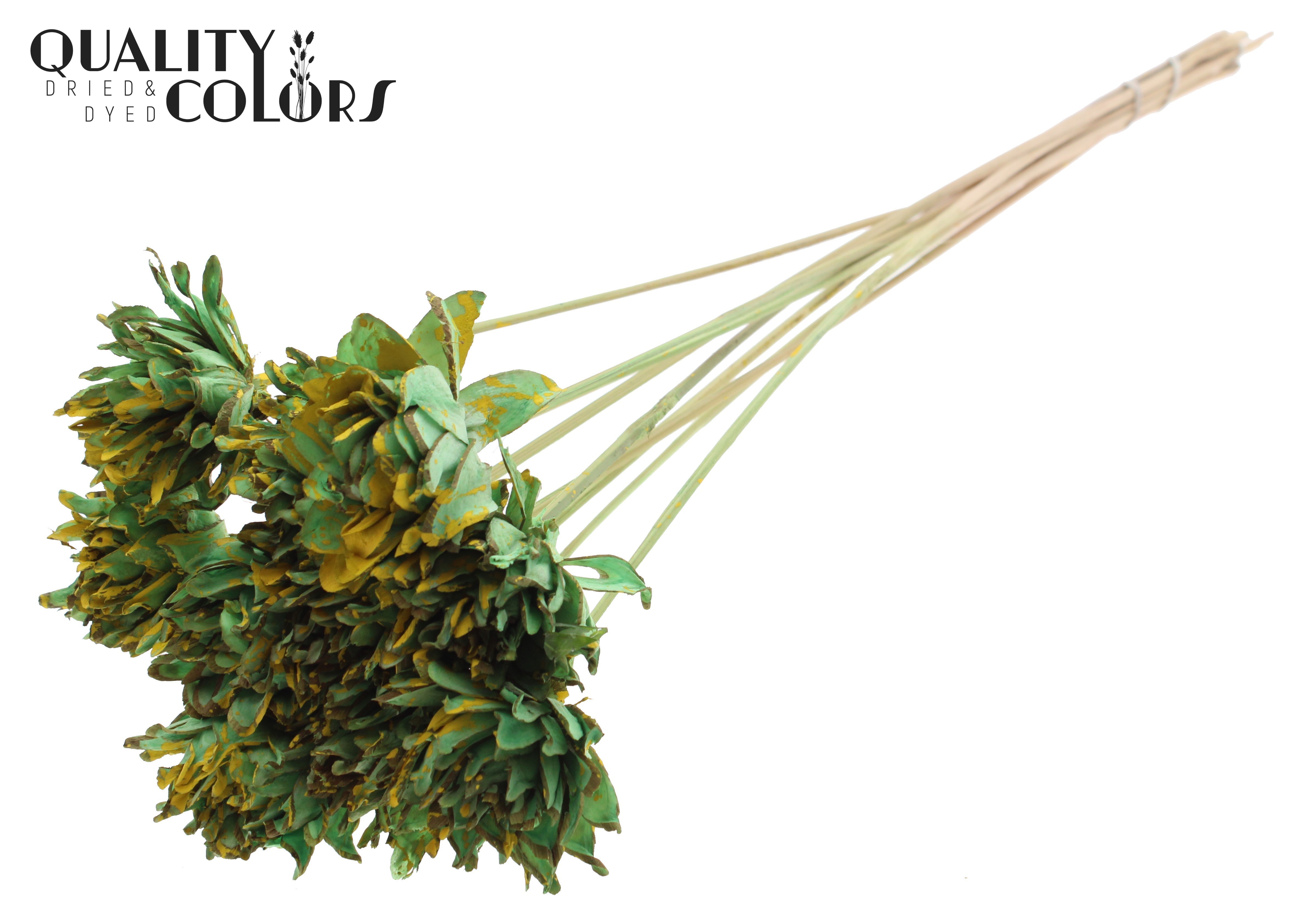 Shola Slice Pine Splashed Mint Yellow 50cm