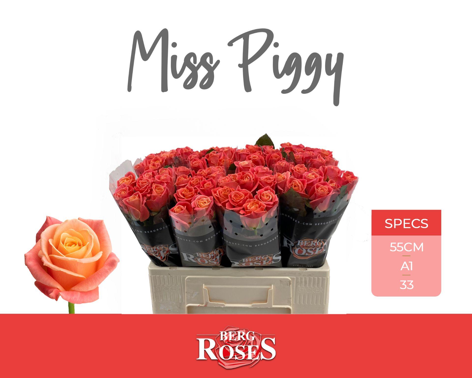 Rosa Miss Piggy 50cm
