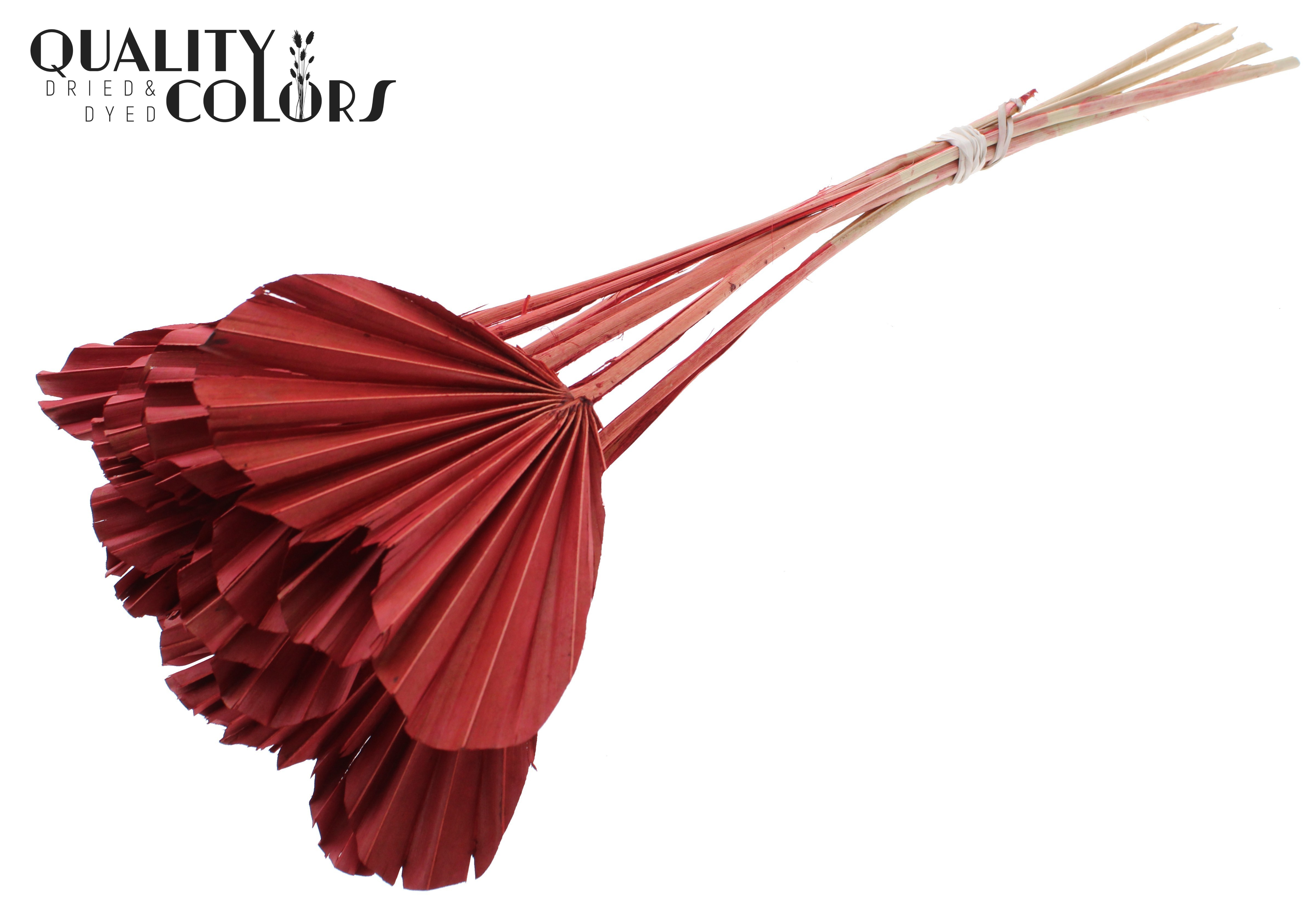 Palm Spear Heart Red 45cm
