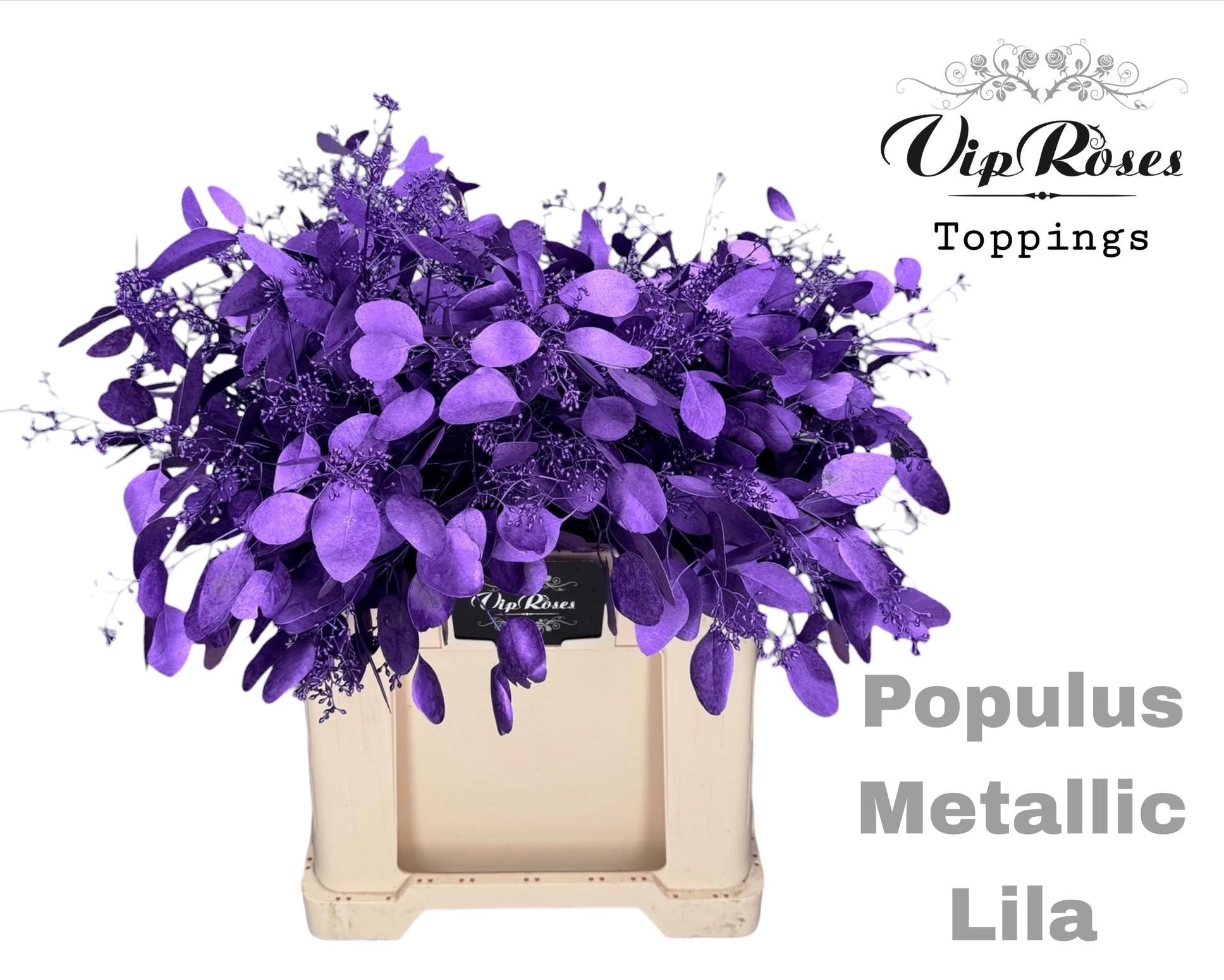 Euca Populus Bes Metallic Lila