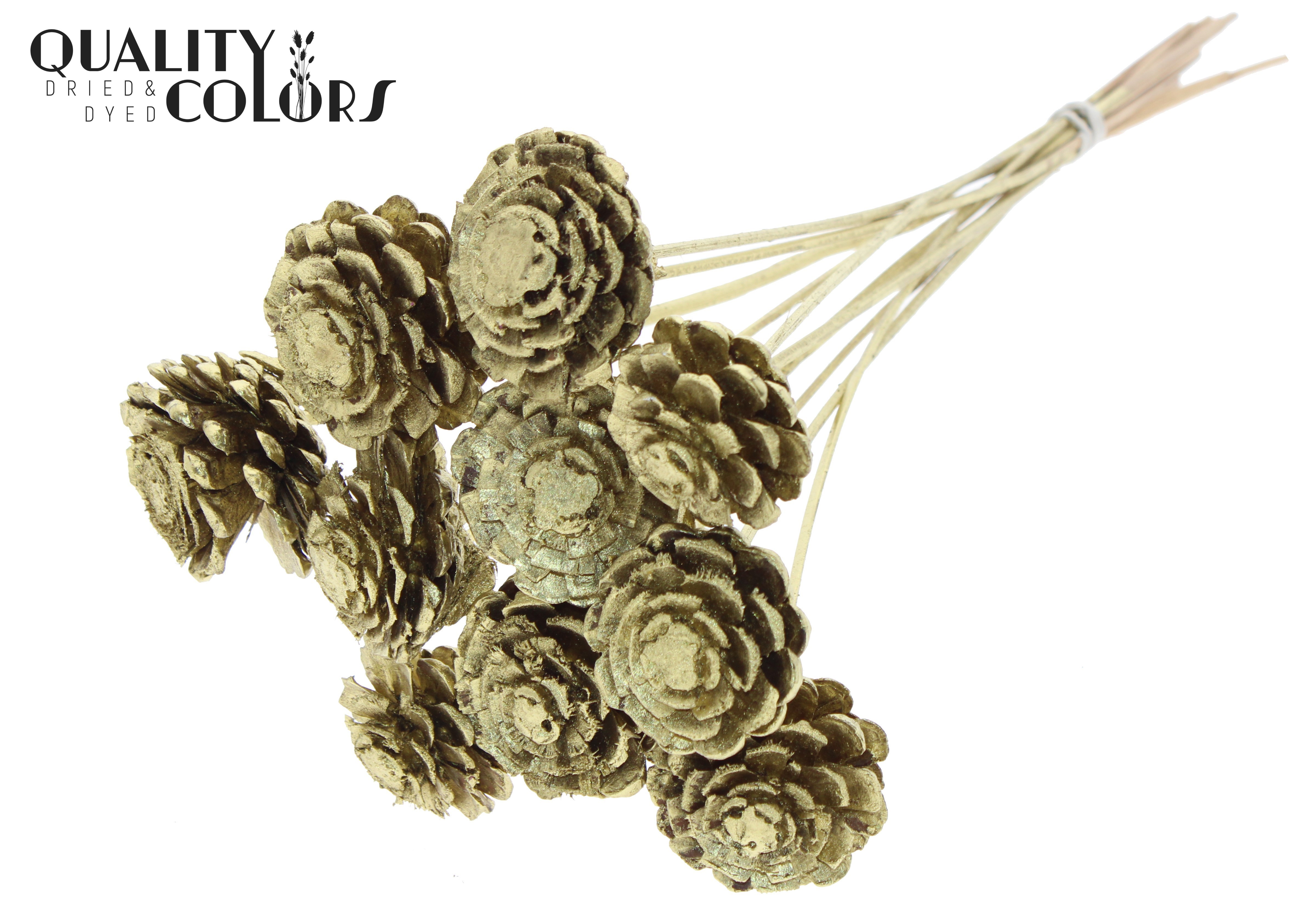 Pine Cone Gold 50cm