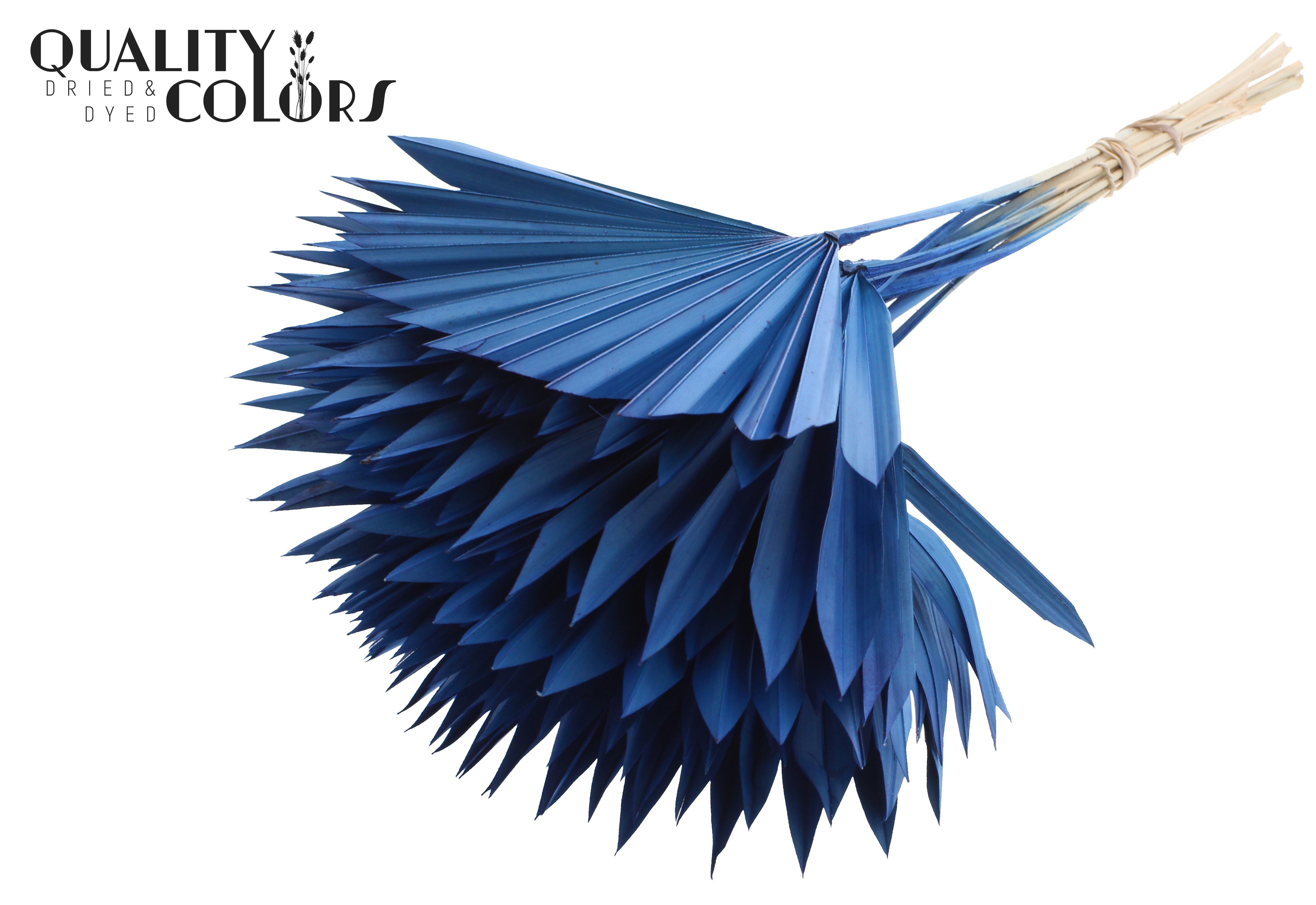Palm Sun Blue 50cm