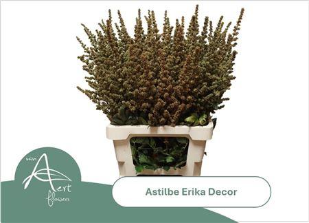 Astil Ar Erika Decor