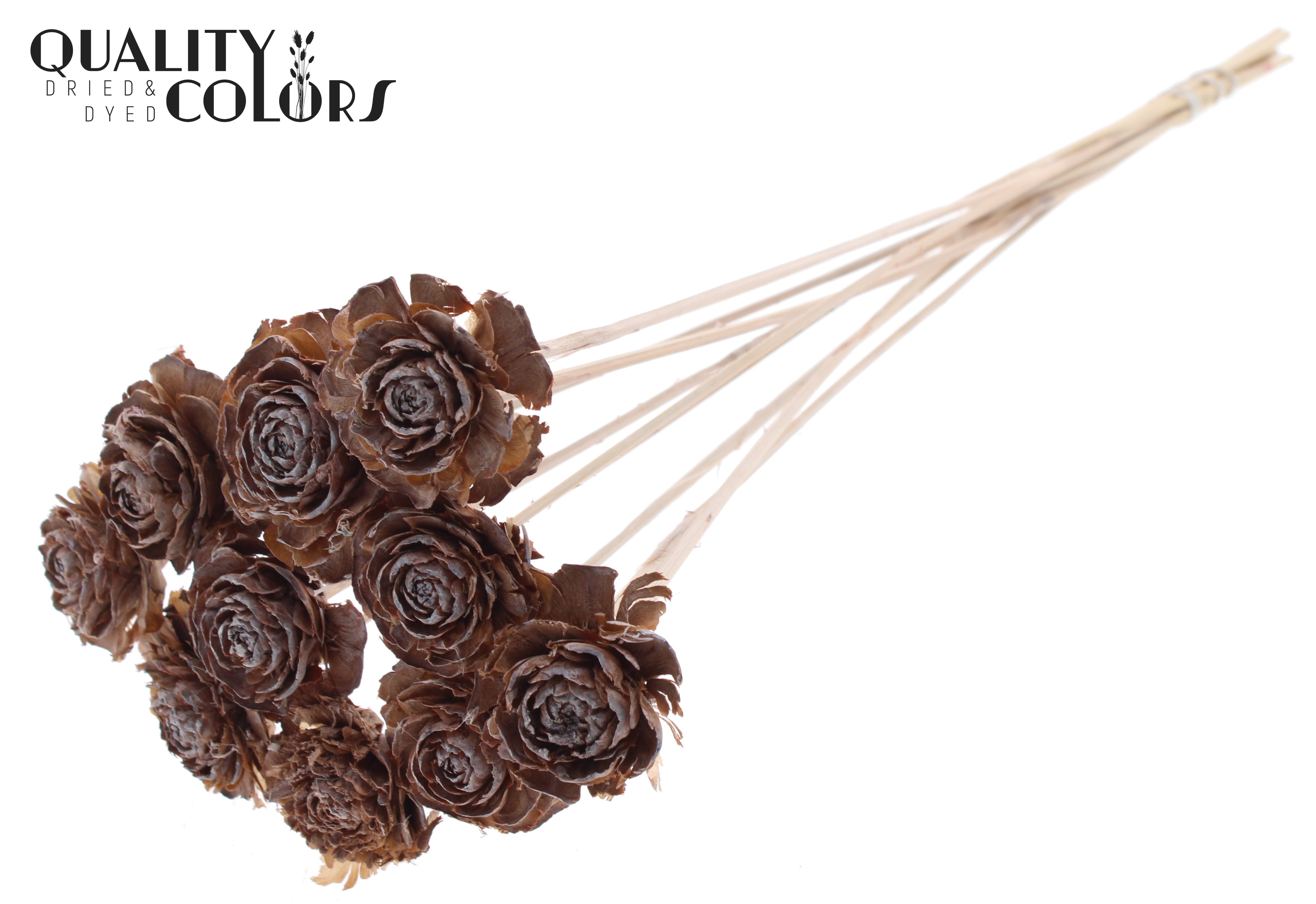 Cedar Rose Frosted White 50cm