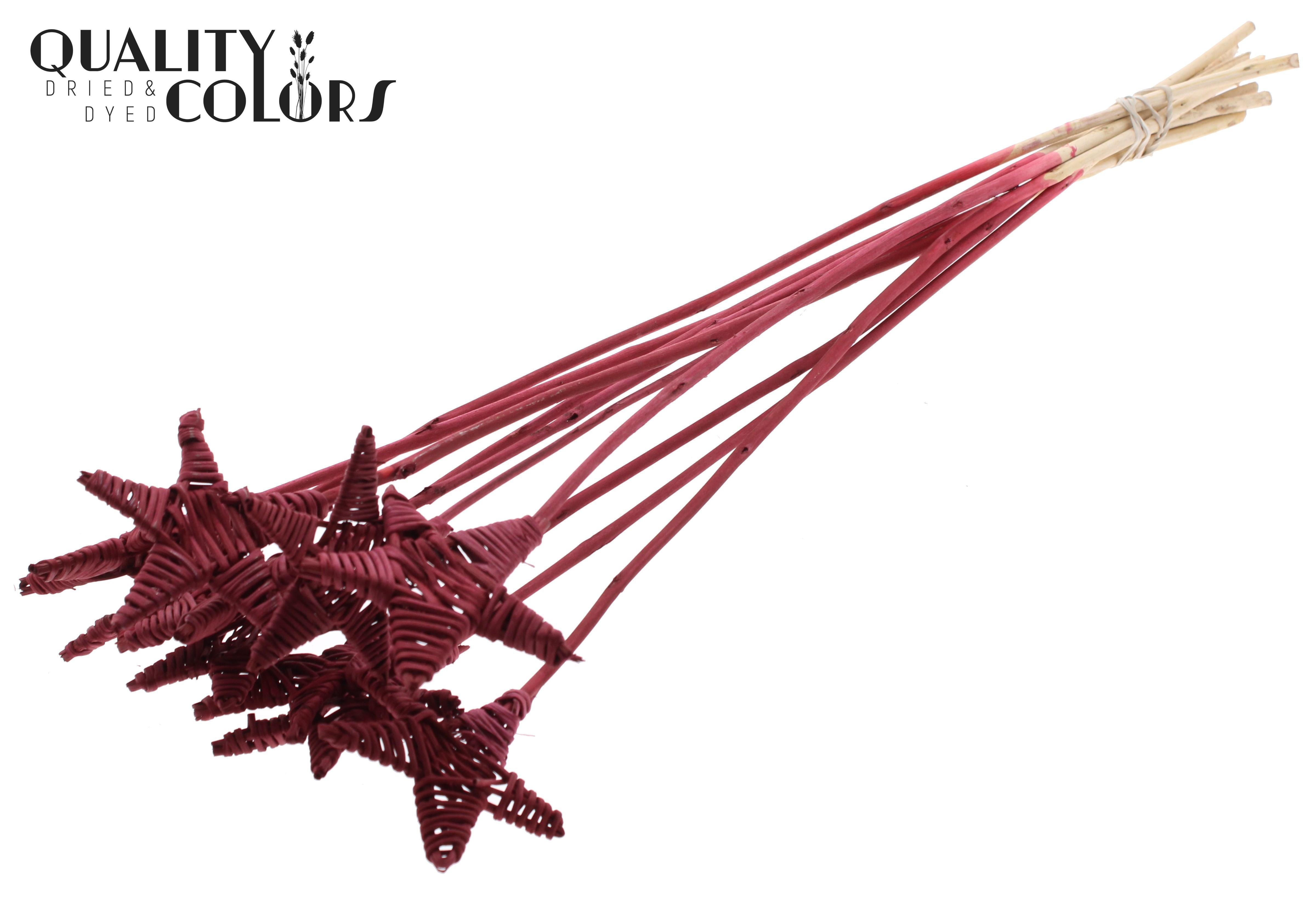 Lata Star Burgundy 50cm