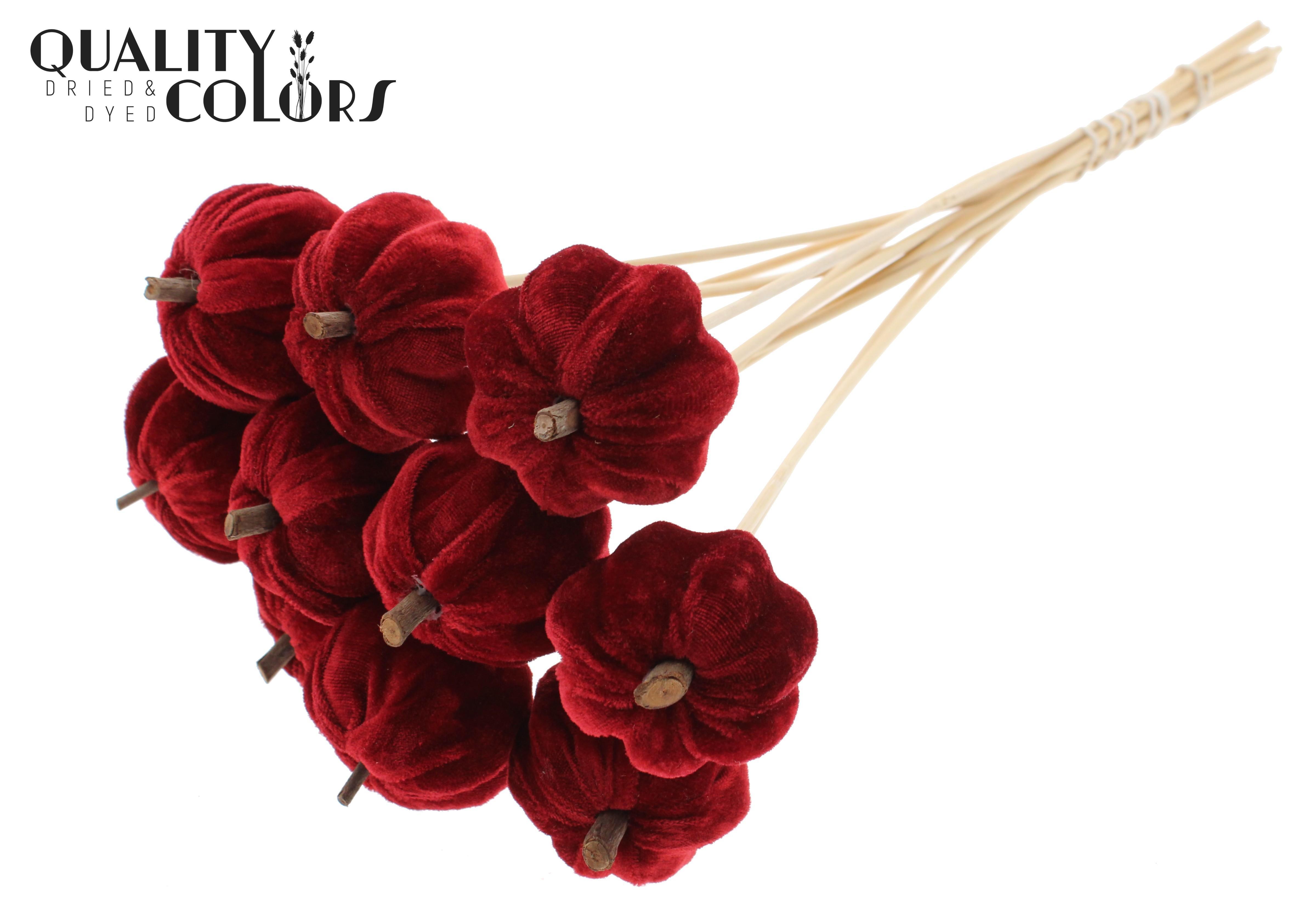 Velvet Pumpkin Red 50cm