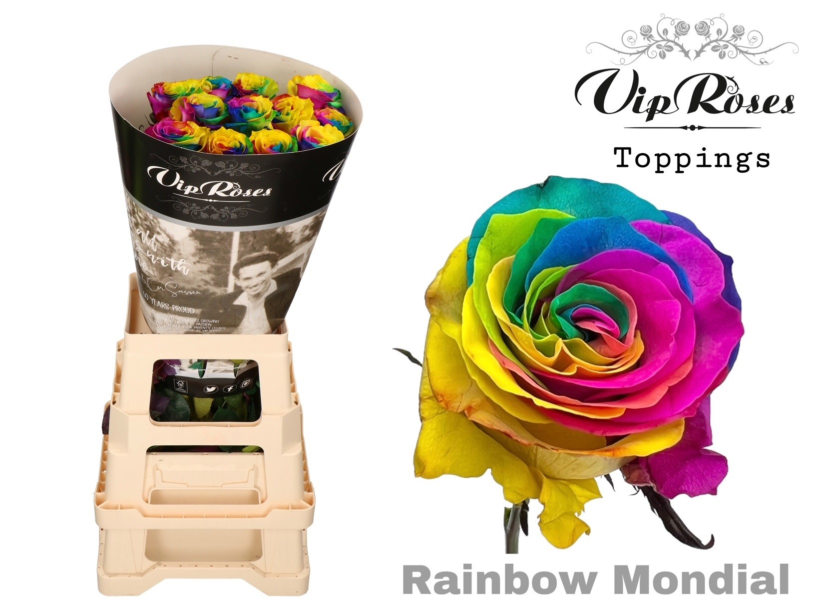 R Gr Rainbow Mondial 60 cm