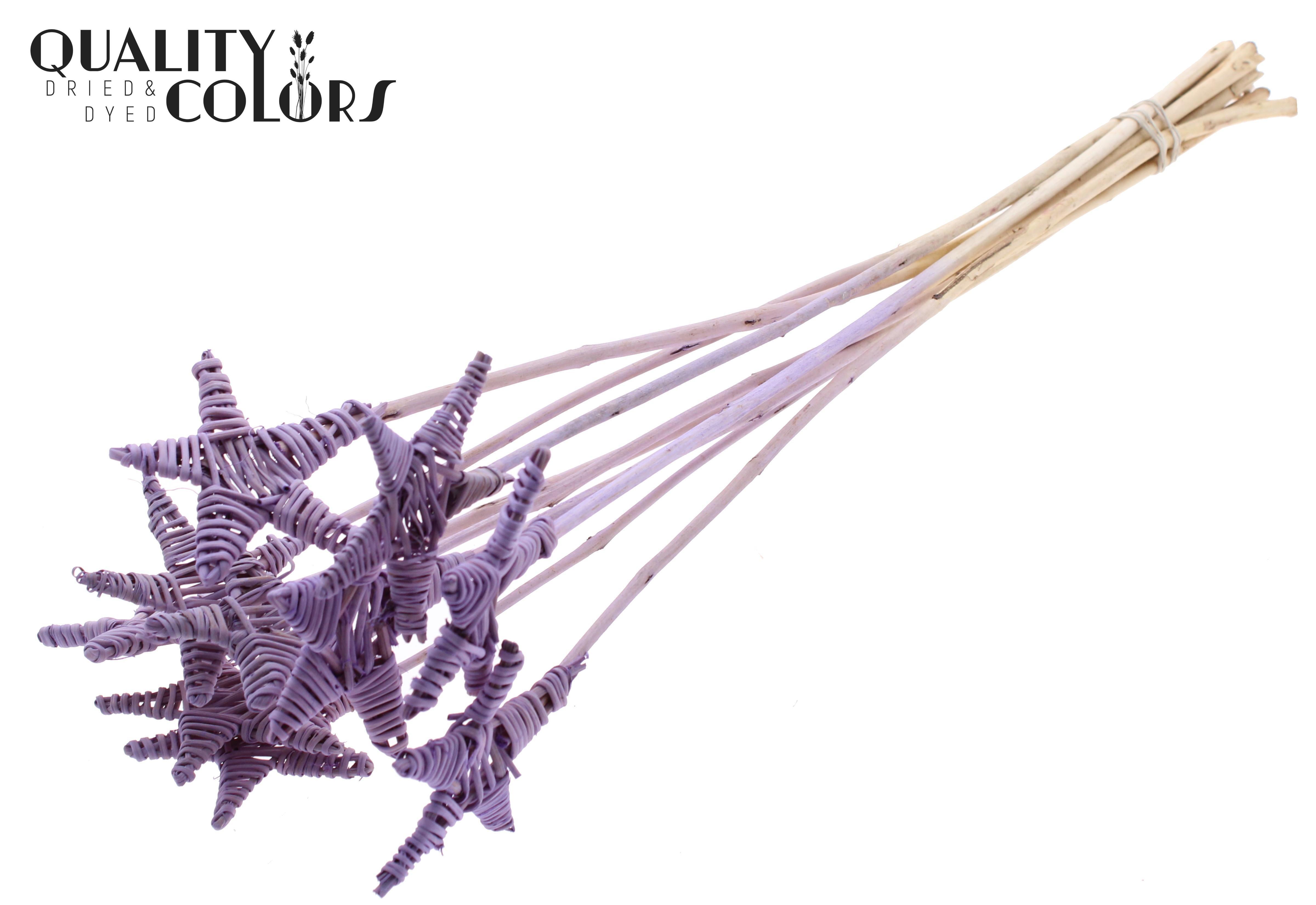 Lata Star Milka 50cm