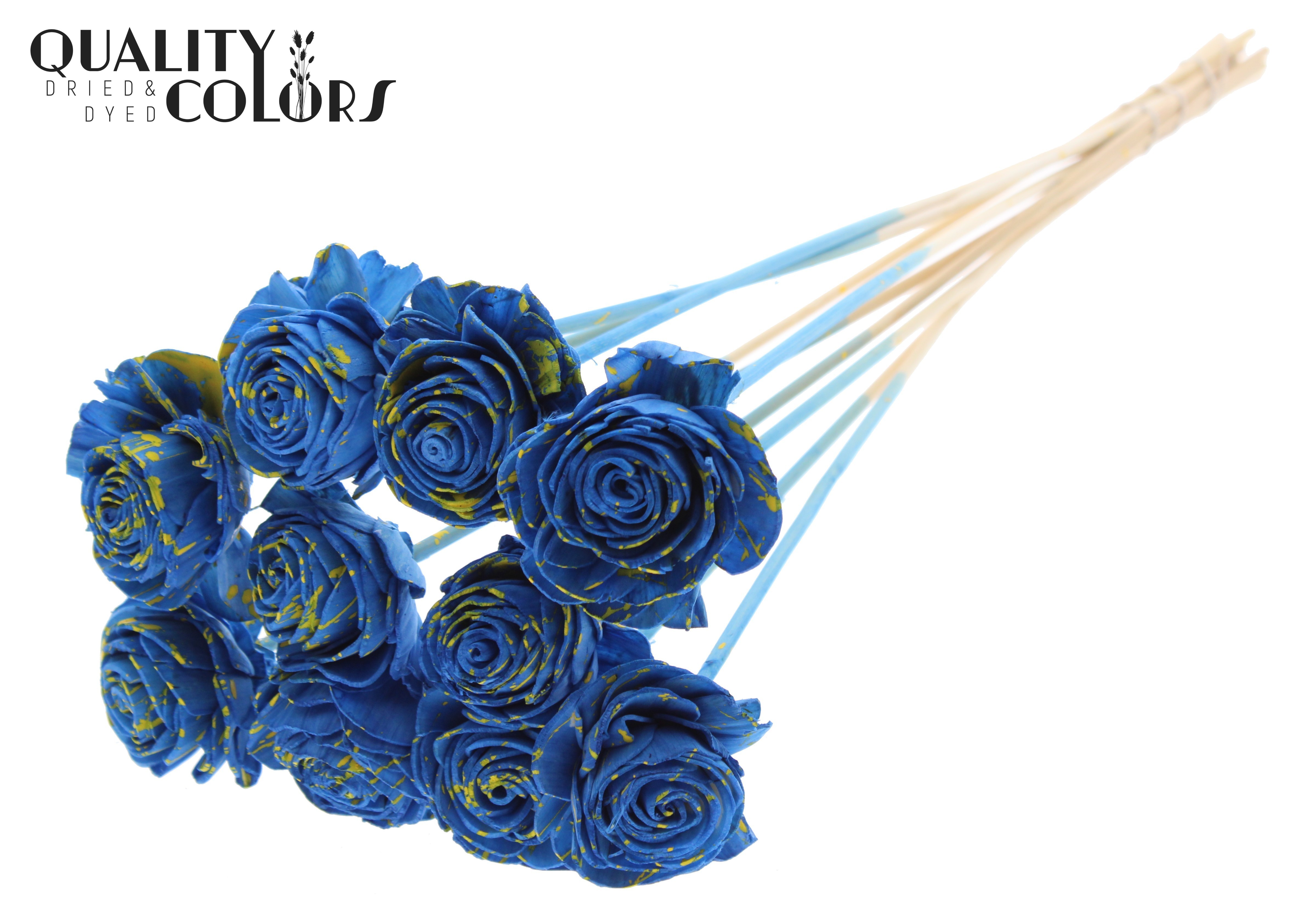 Shola Beauty Rose Splashed Blue Yellow 50cm