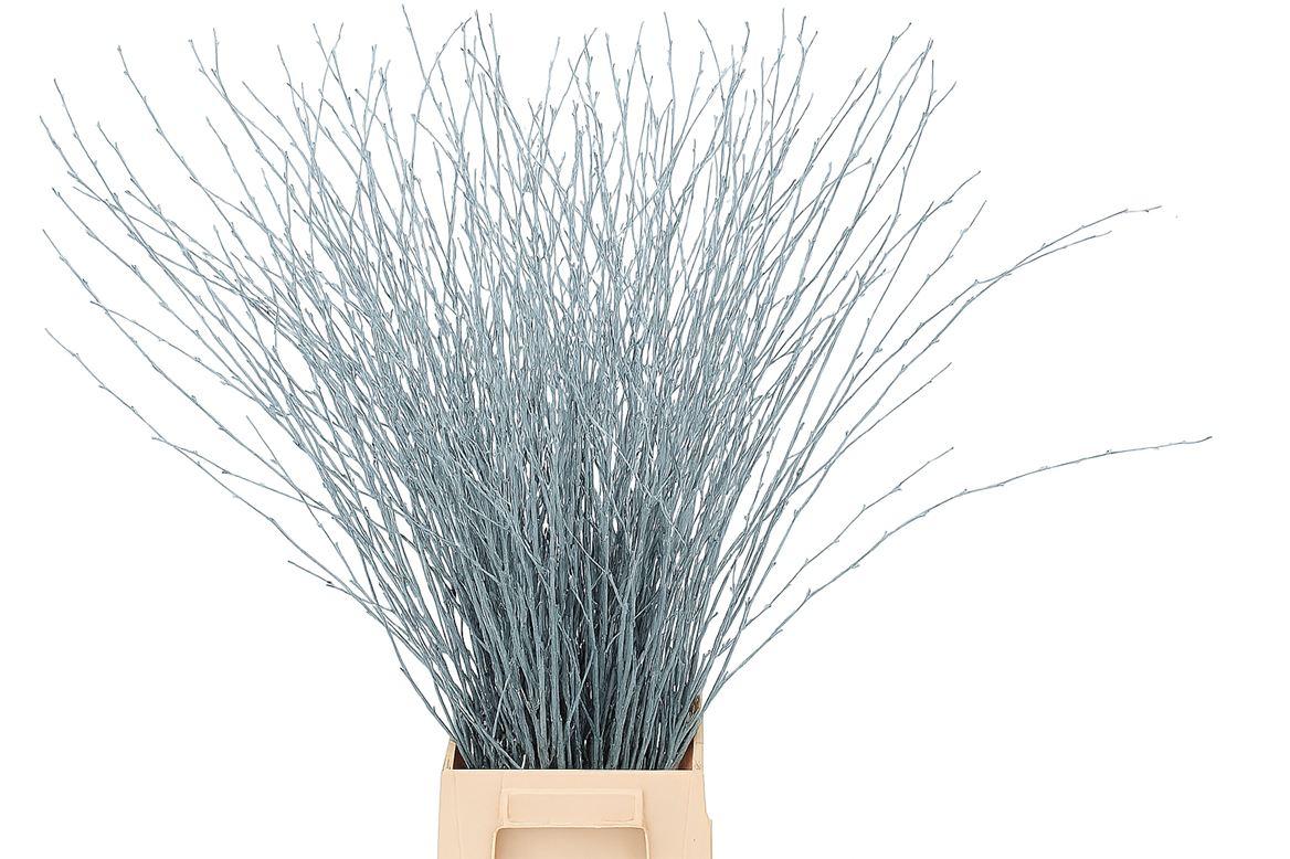 Berk 70cm Lichtblauw Pbs