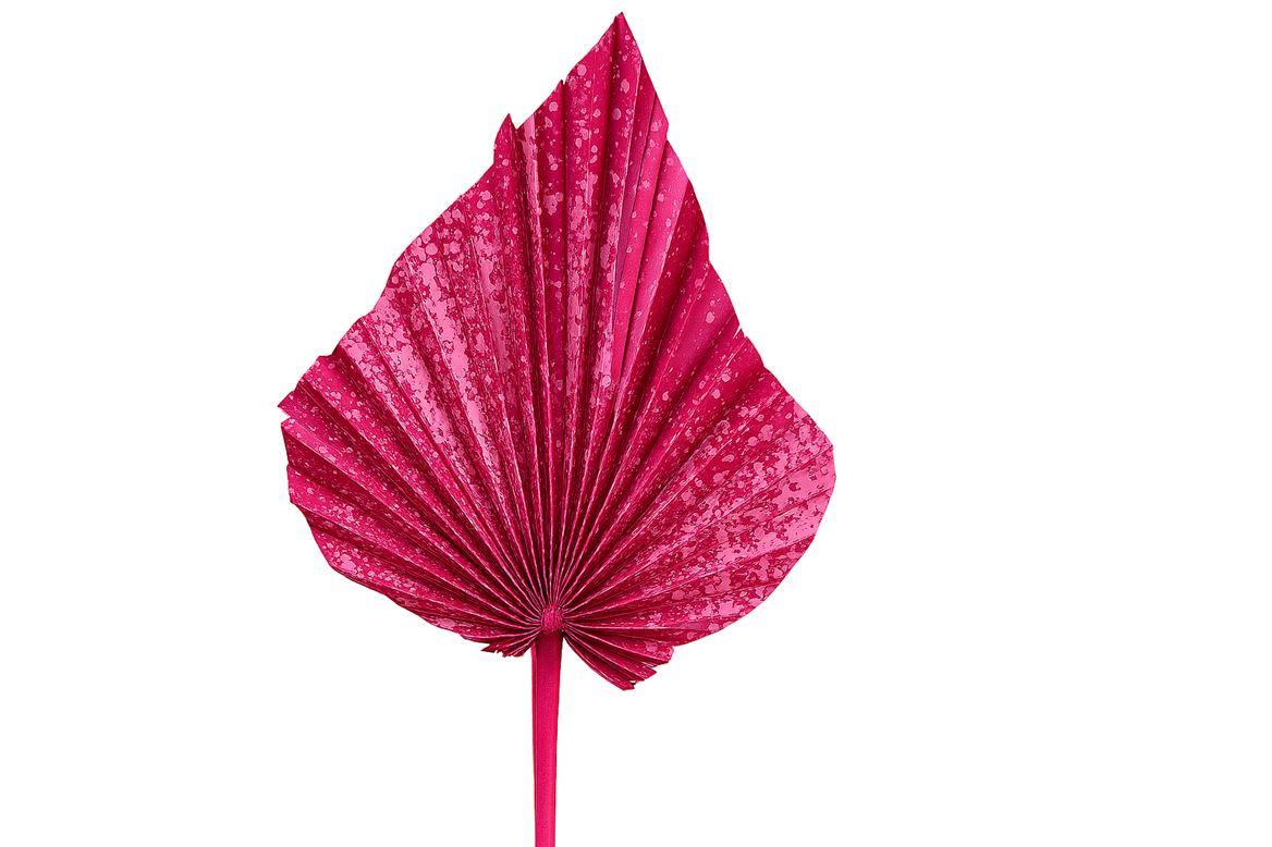 Dried Artz Palm Spear Xl Rembrandt P Stem