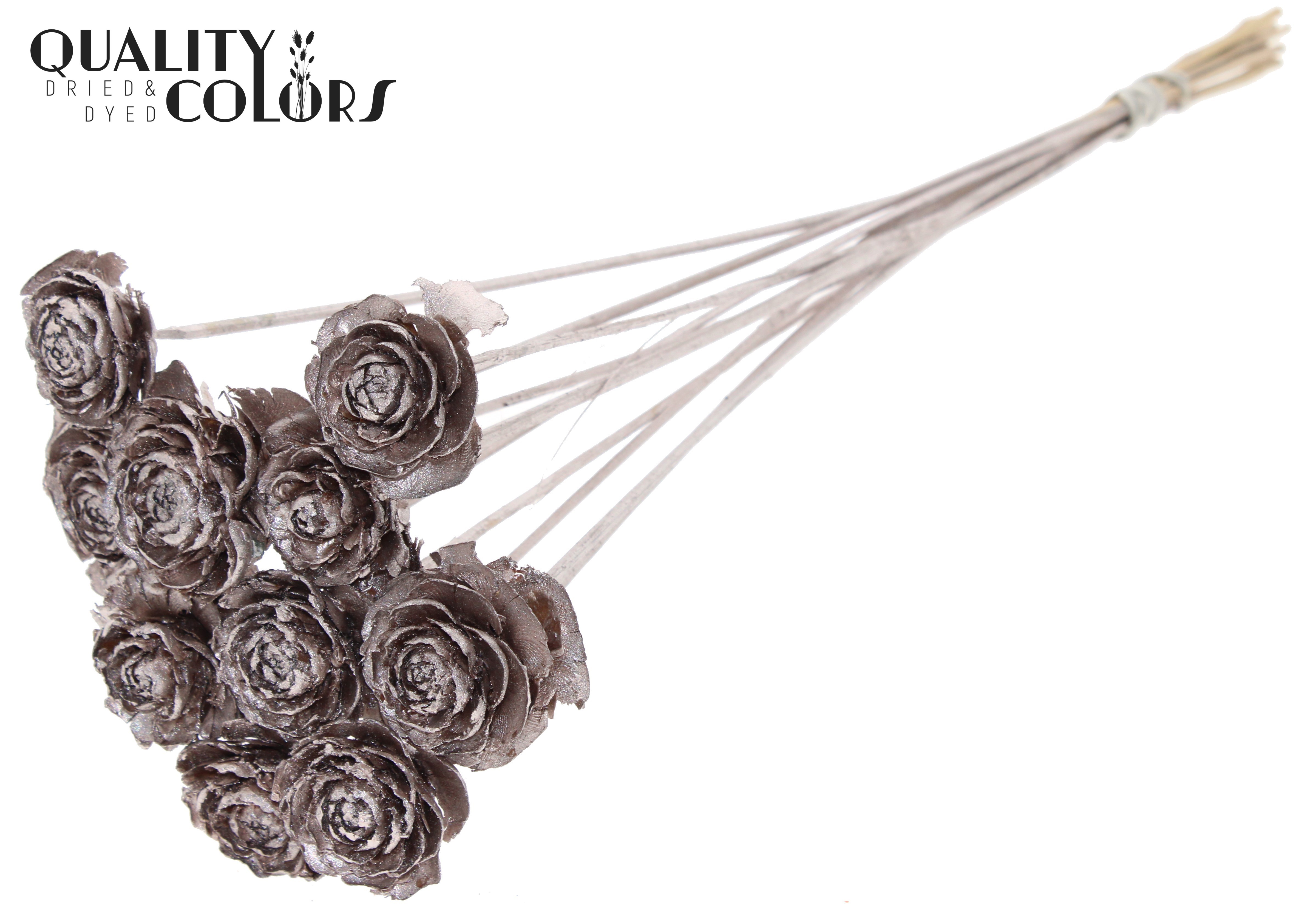 Cedar Rose Champagne 50cm