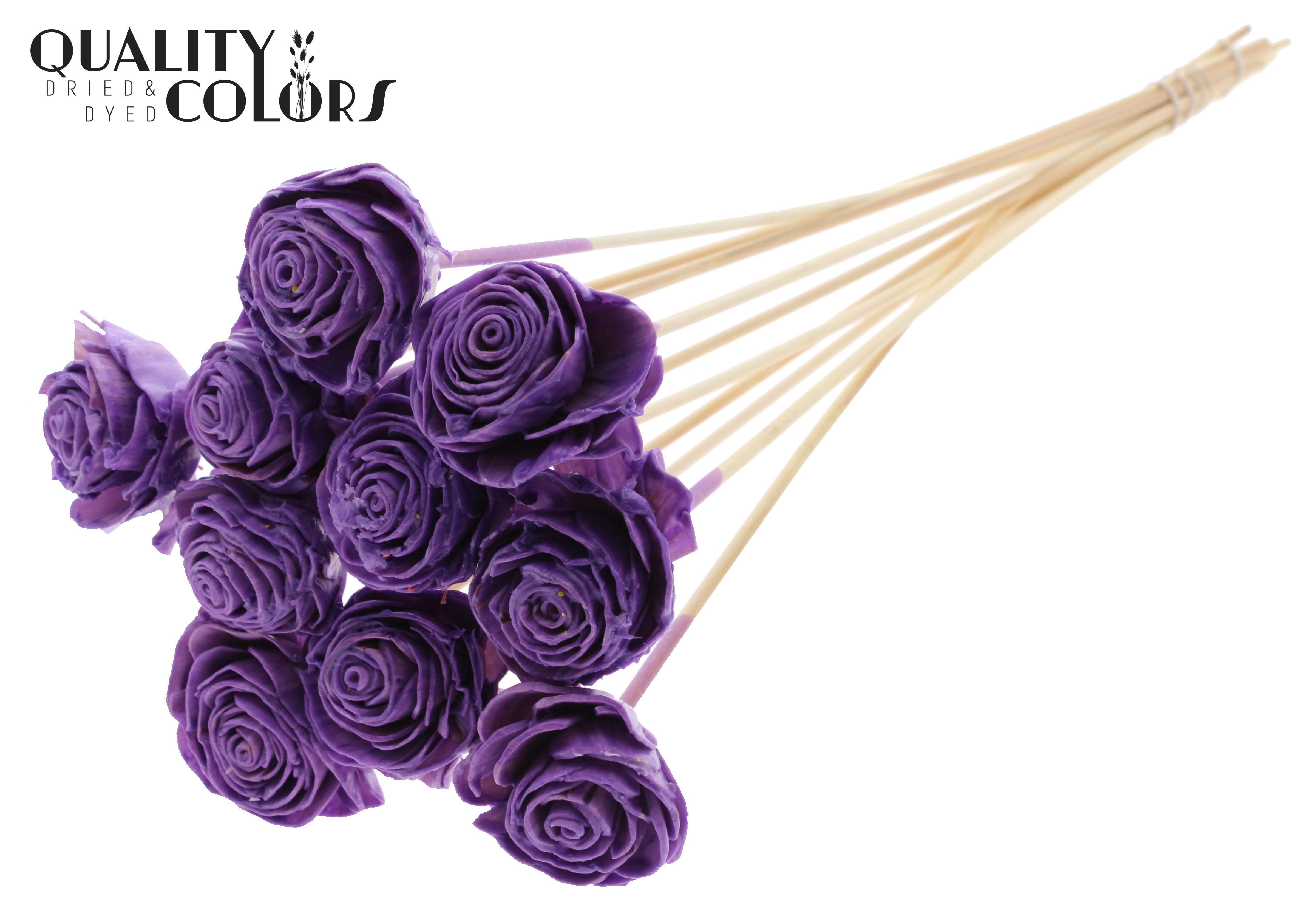 Shola Beauty Rose Wax Milka 50cm