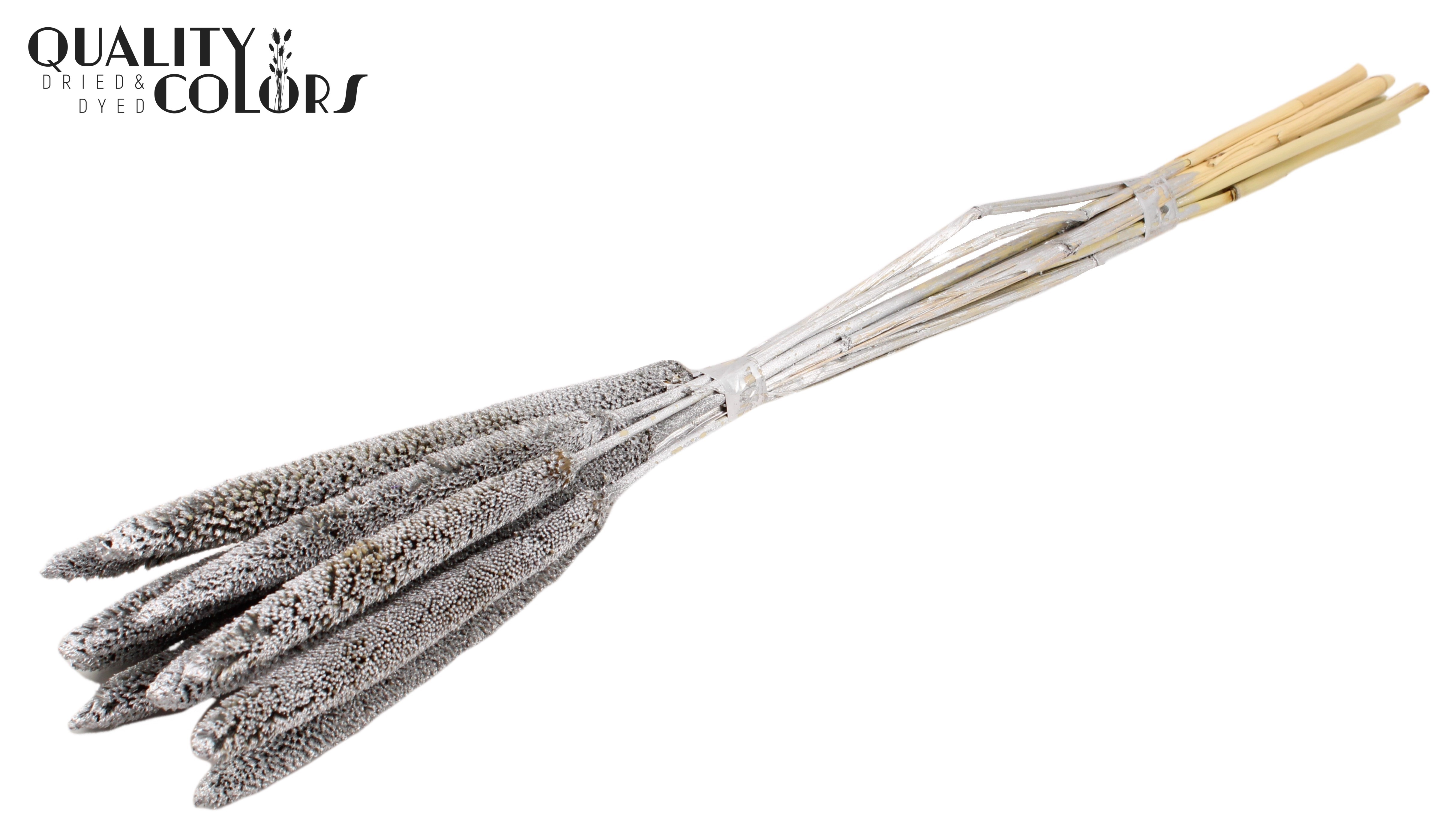 Babala Silver 65cm
