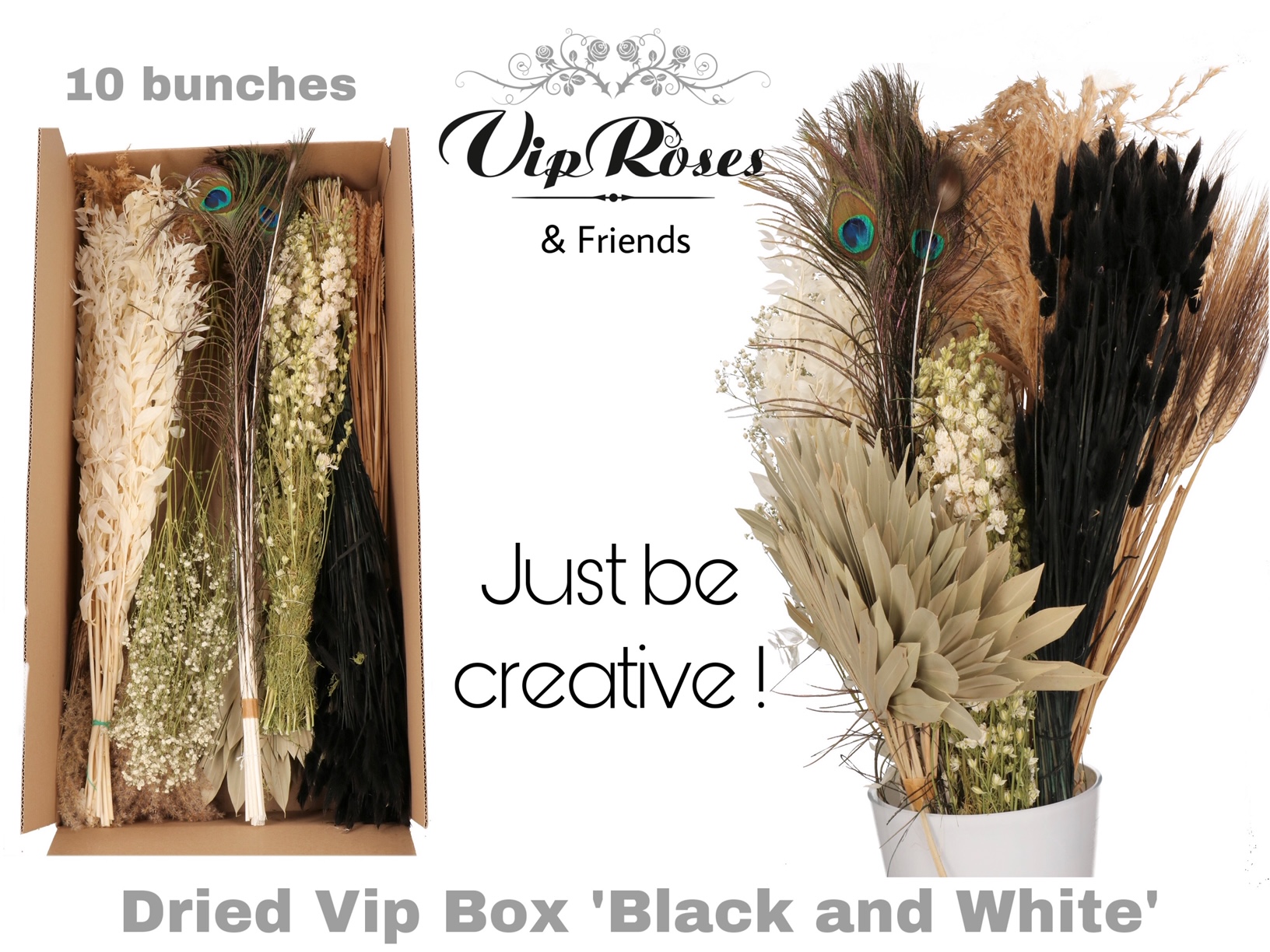 Dried Vip Box Black & White 60 cm