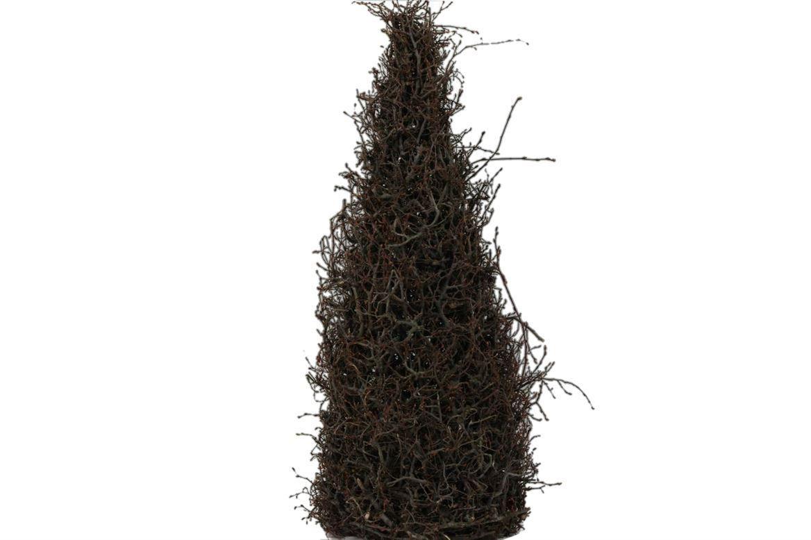 Deco Cone Bonsai H70 Naturel