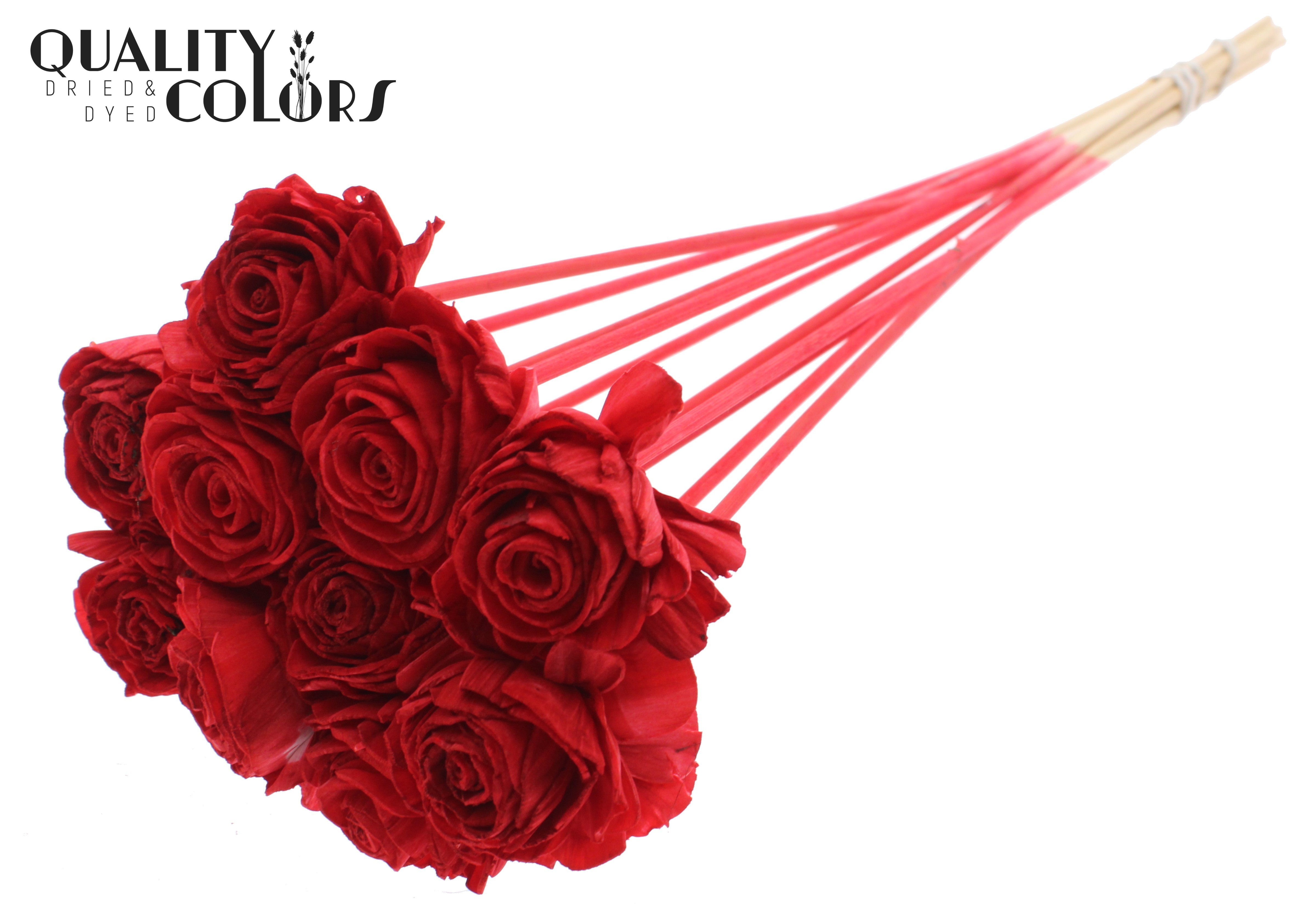 Shola Beauty Rose Red 50cm