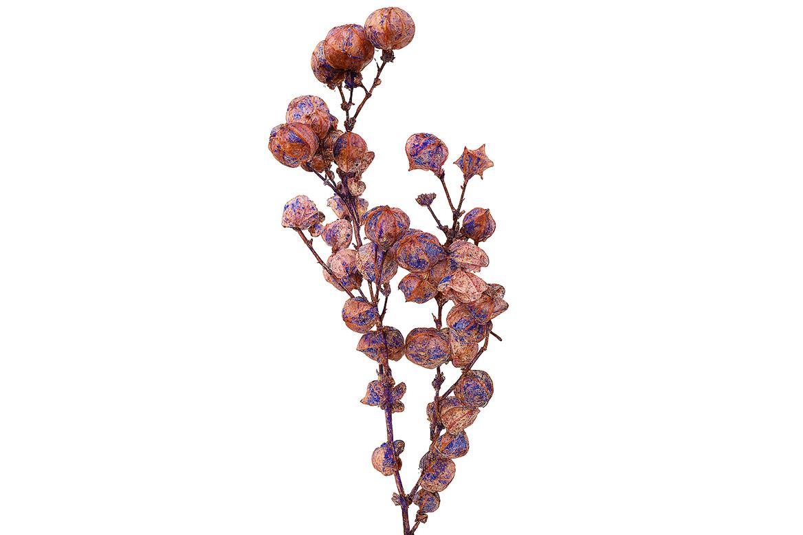 Dried Artz Bougainvillea Da Vinci Bunch