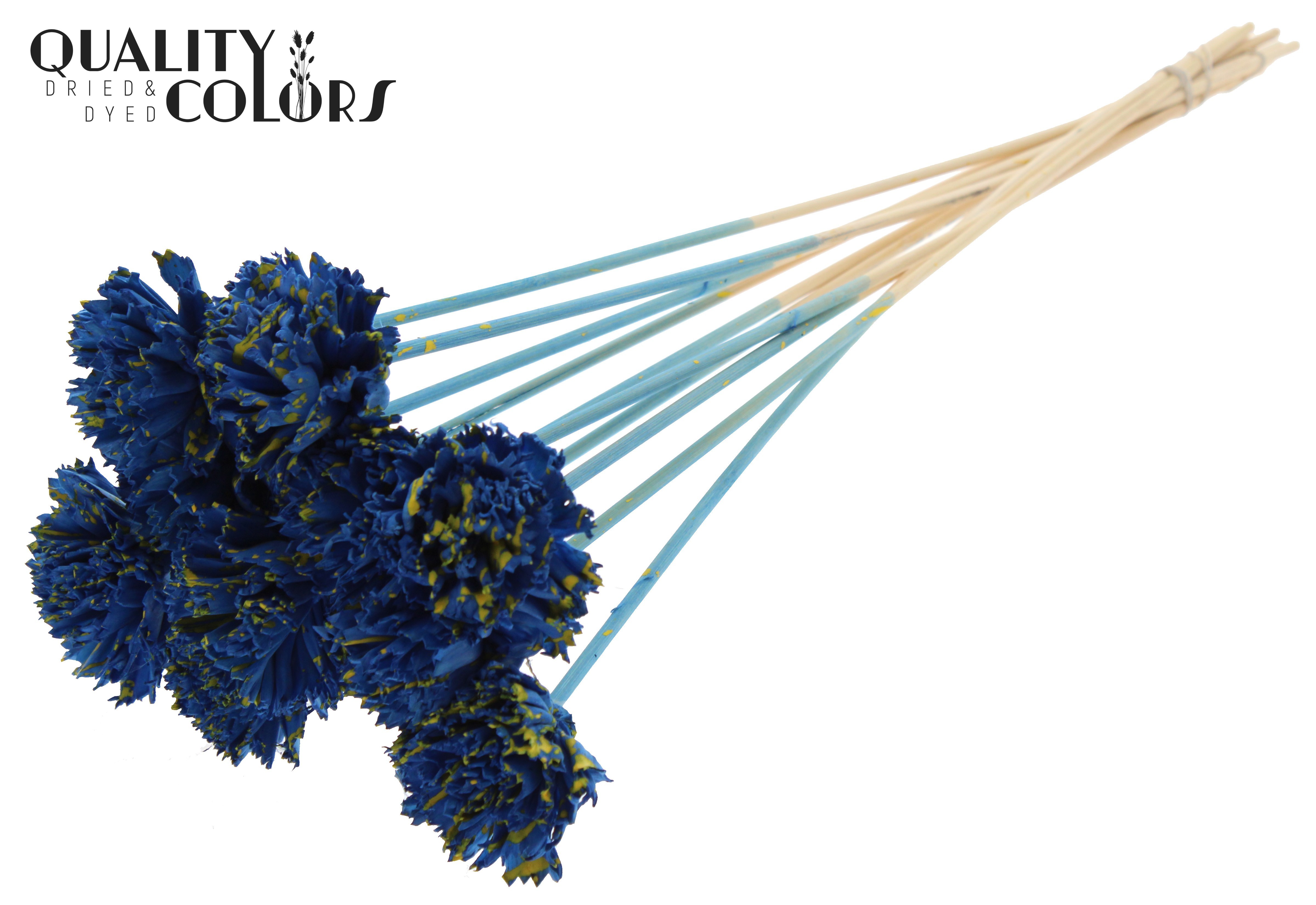 Shola Karnish Flower Splashed Blue Yellow 50cm