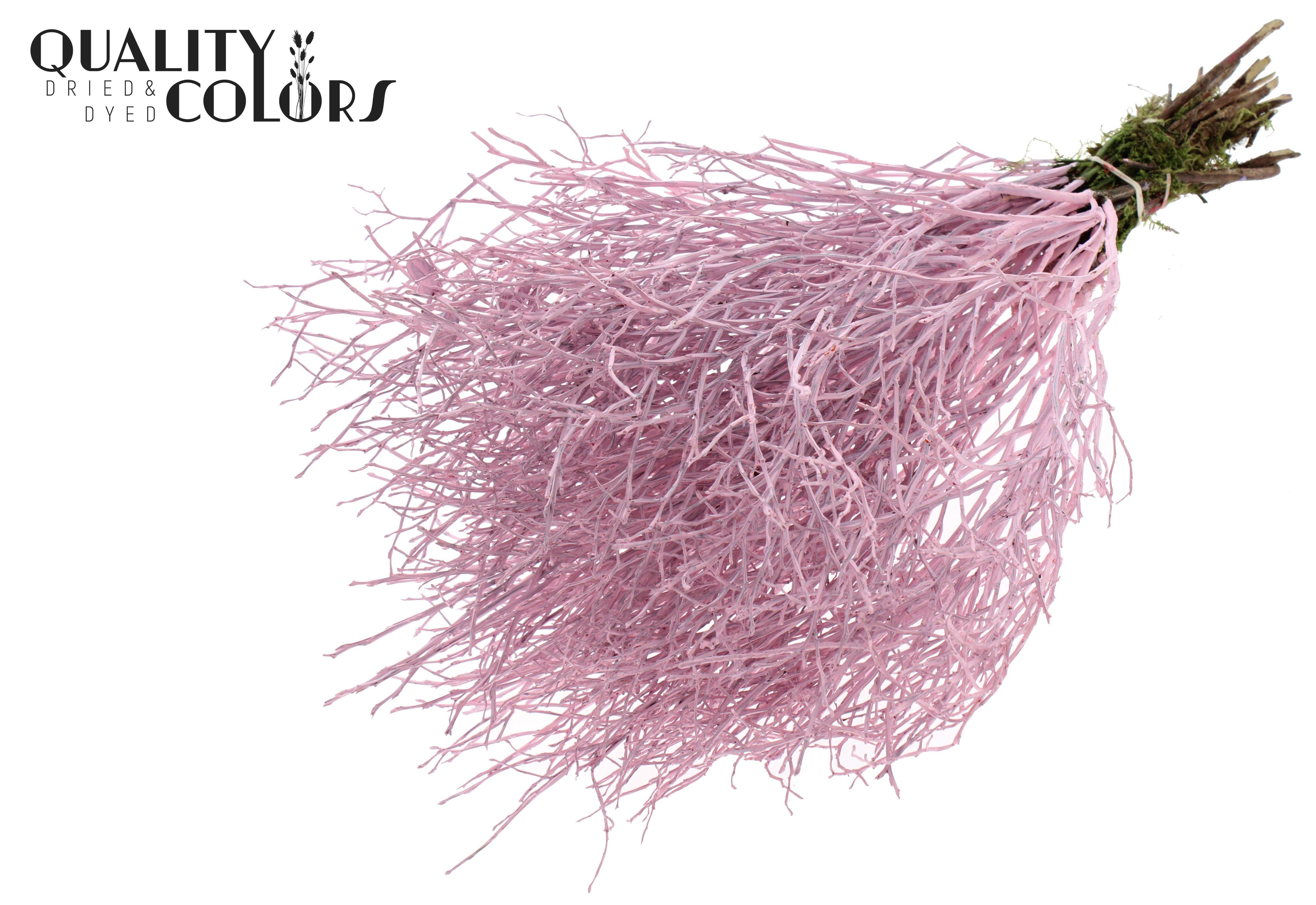 Vaccinium Huckleberry Light Pink Per Bunch