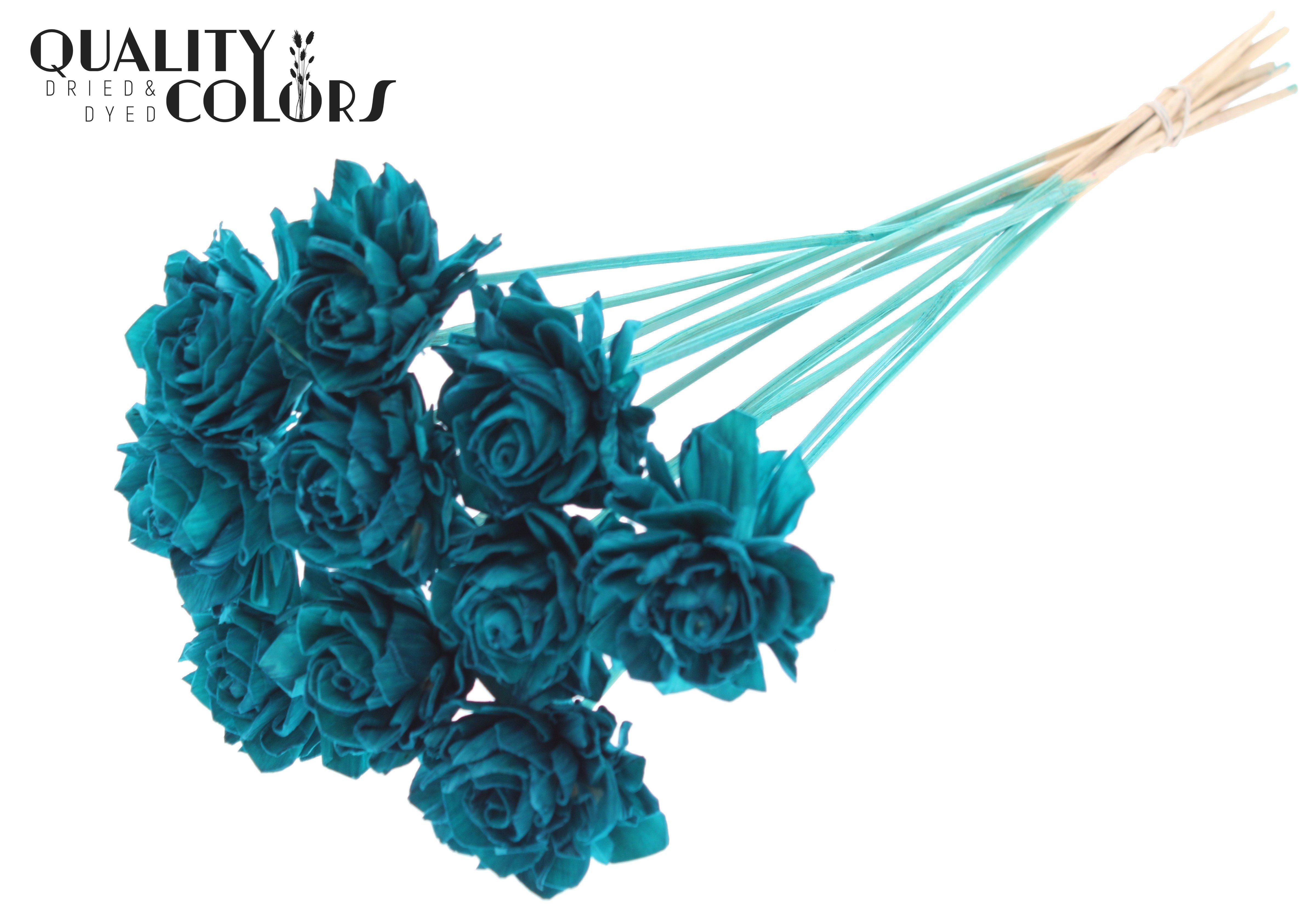 Shola Dhaliya Turquoise 50cm