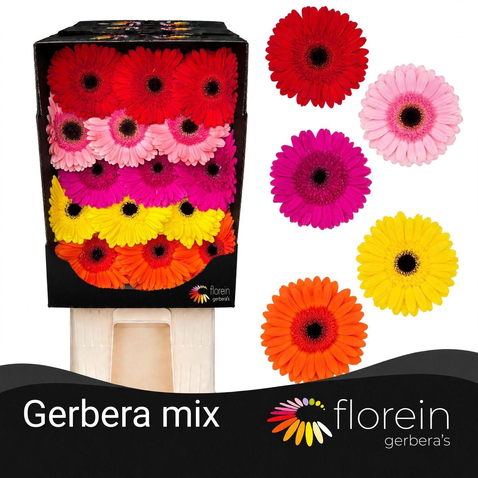 Ge Gr Mix Diamond 45