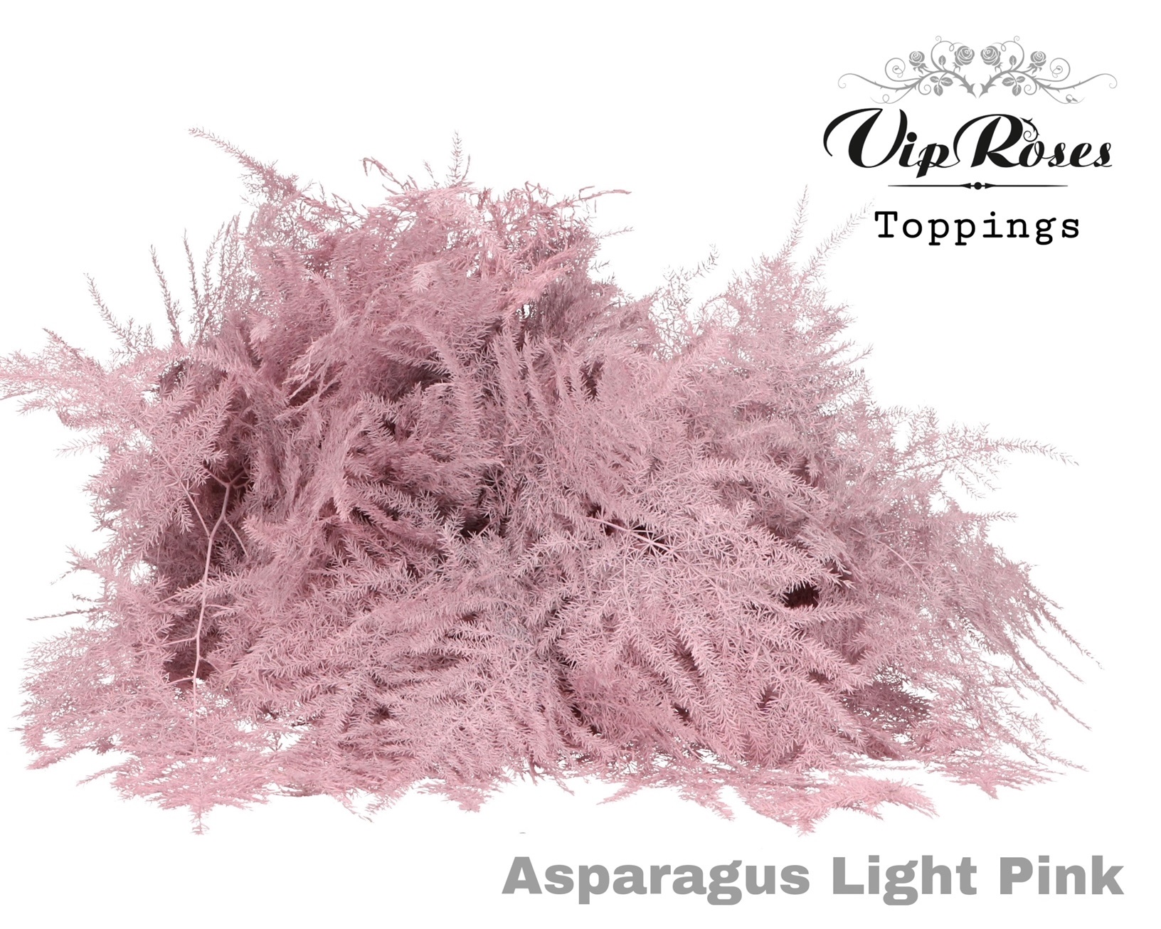 Asp Ov Extra Veren Light Pink 65 cm