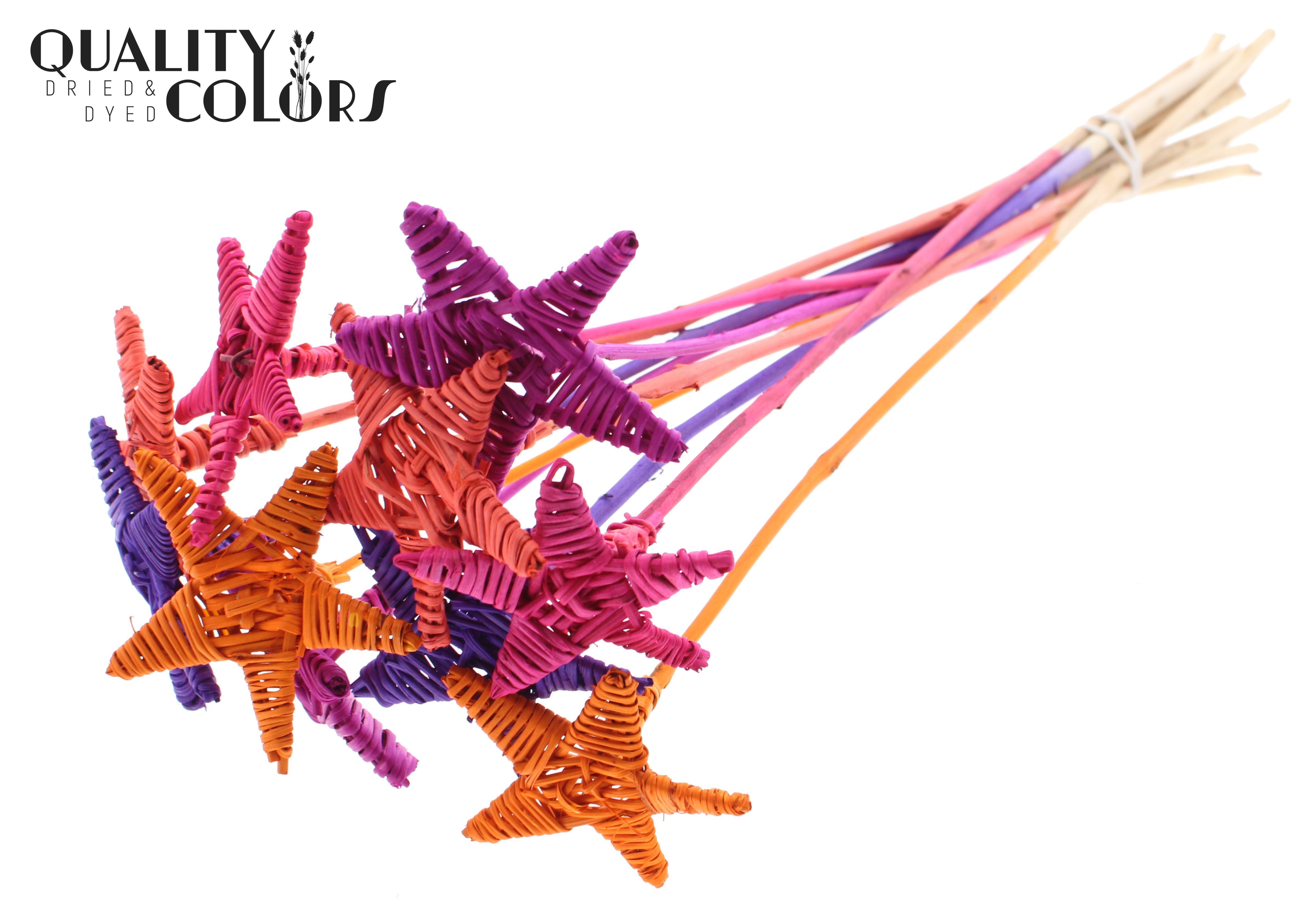 Lata Star Sunset Berry Mix 50cm