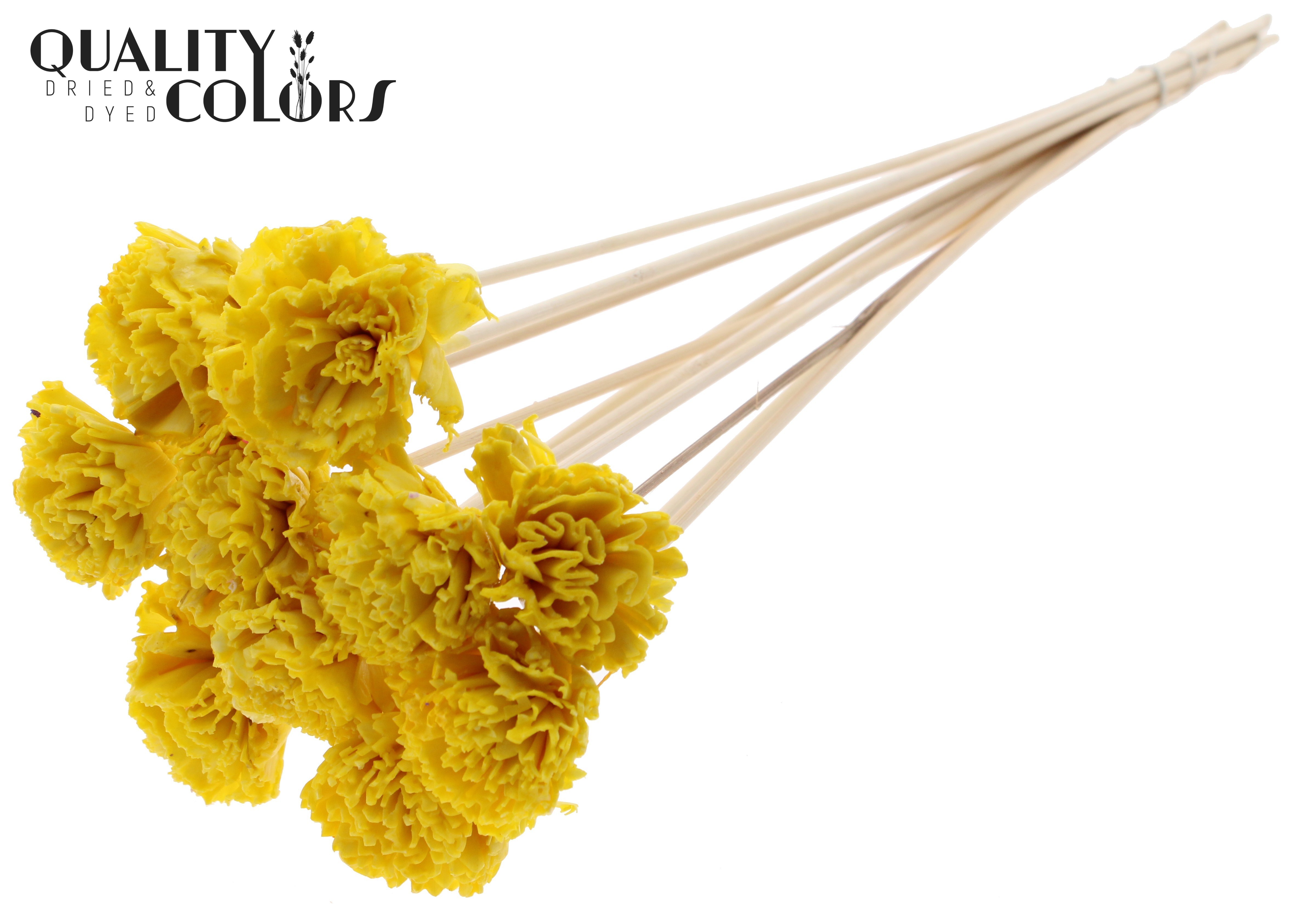 Shola Karnish Flower Wax Yellow 50cm